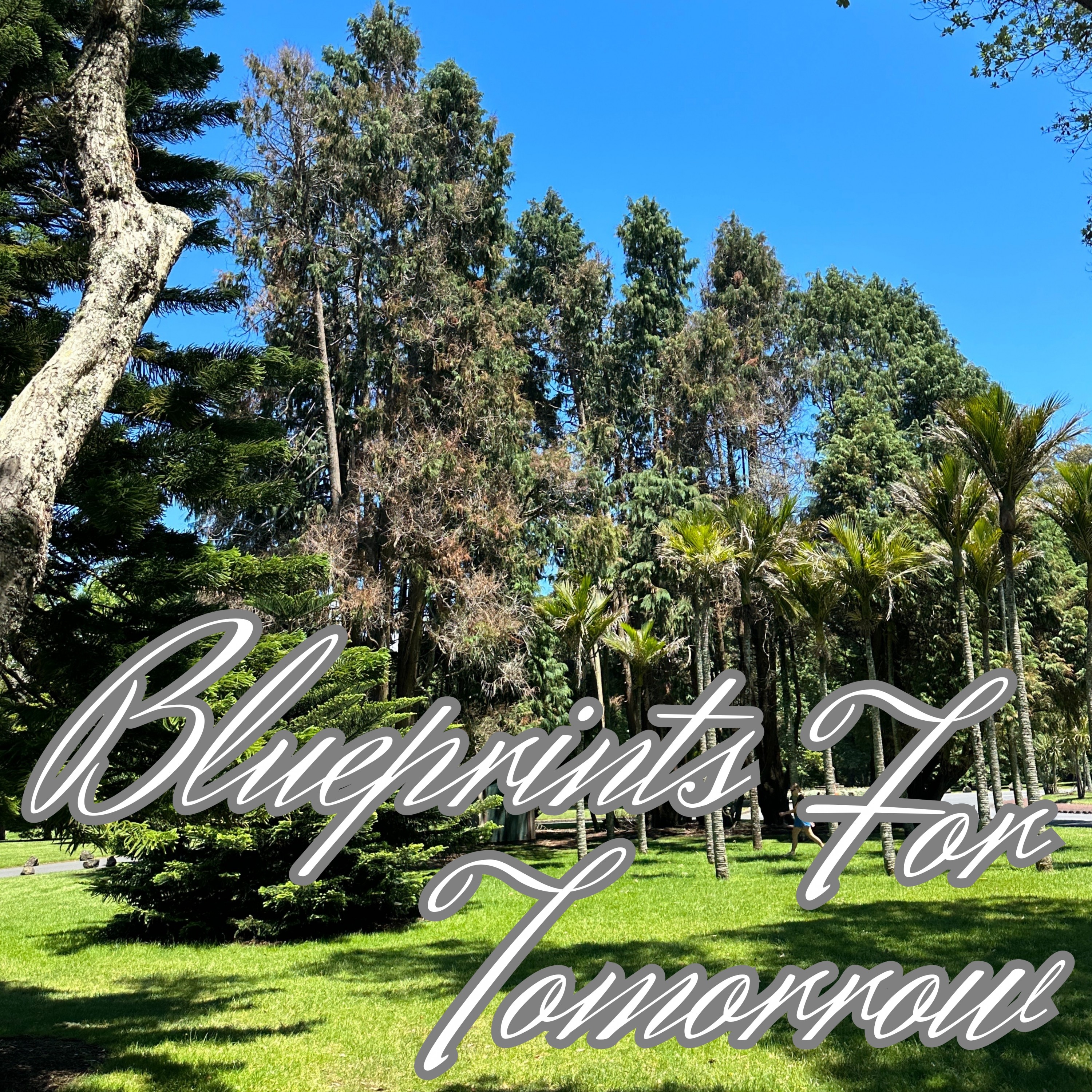 ジャケット写真