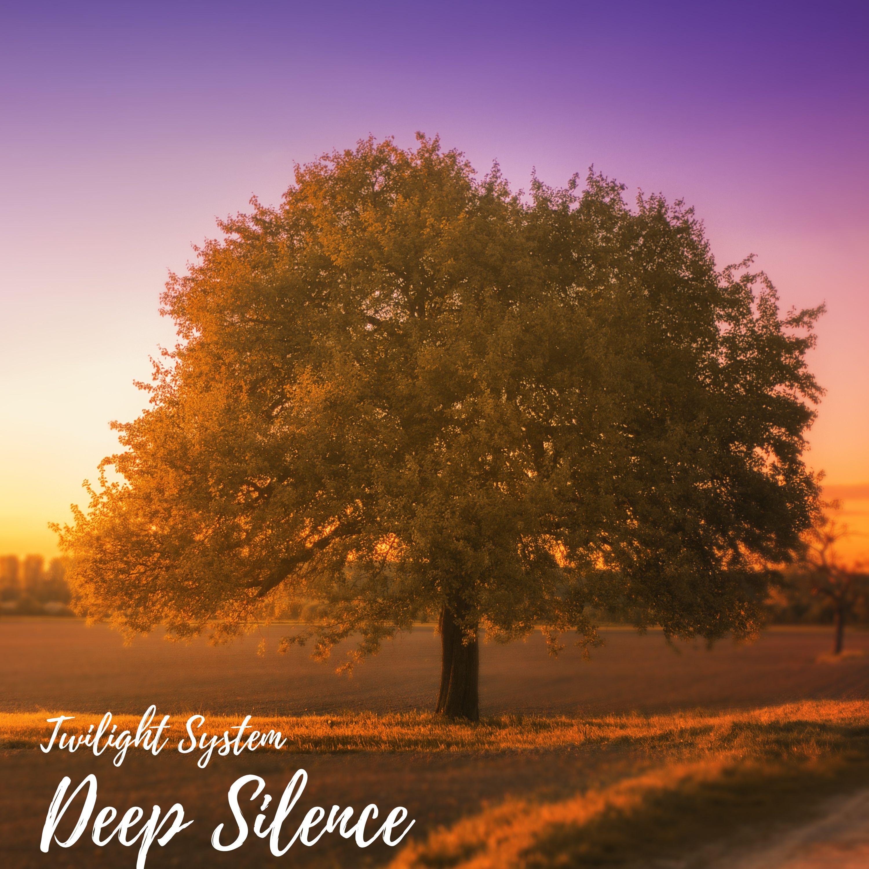 ジャケット写真