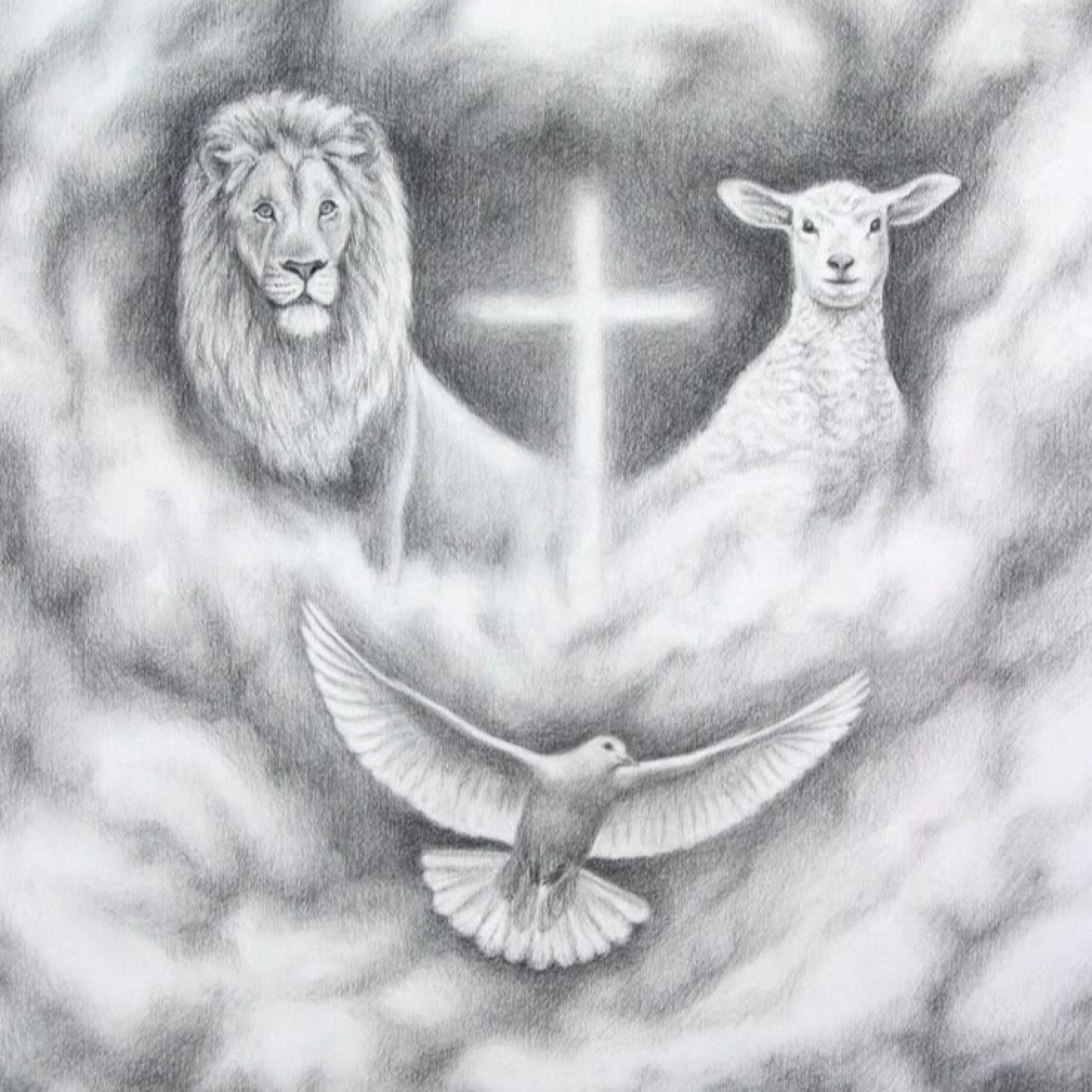 ジャケット写真