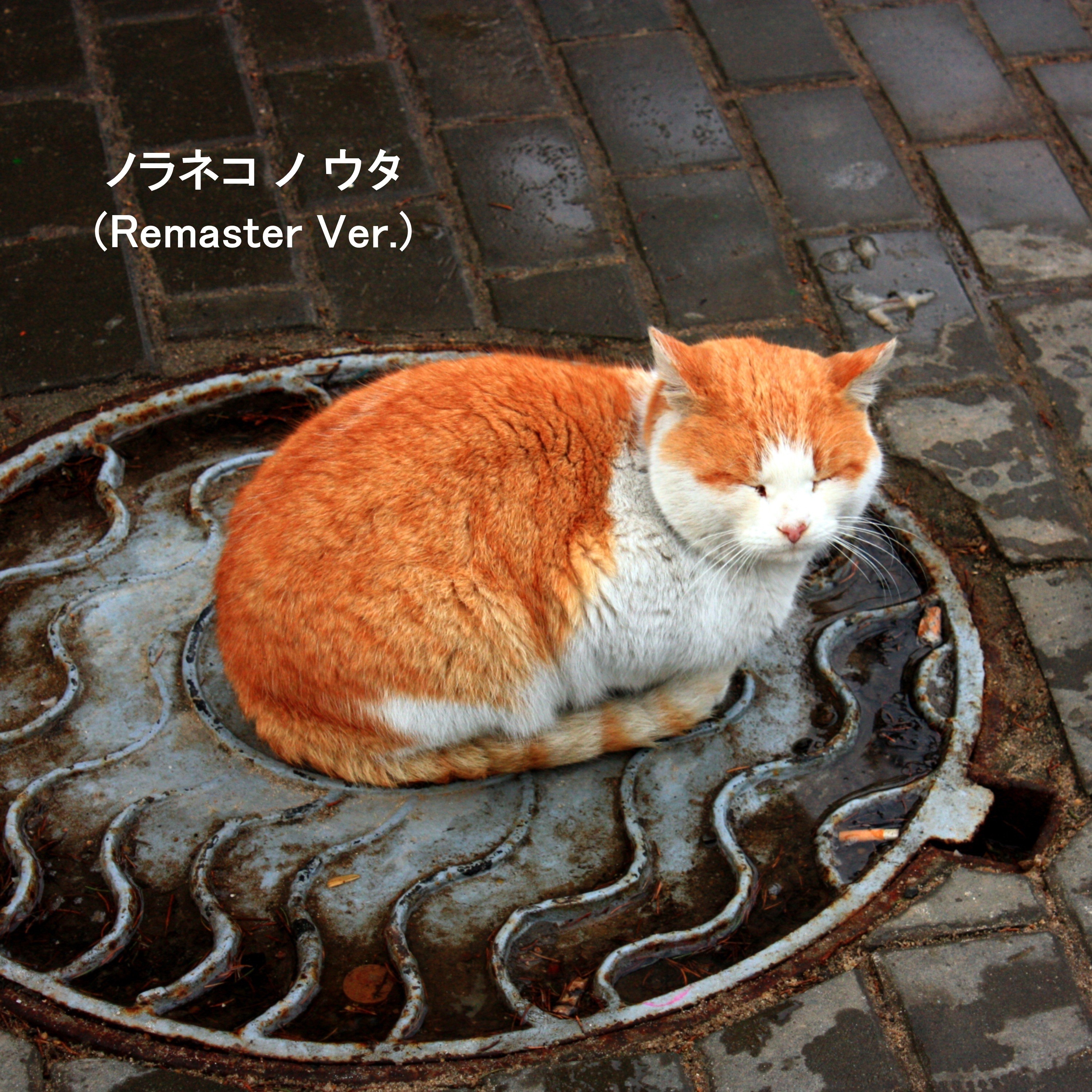 ジャケット写真