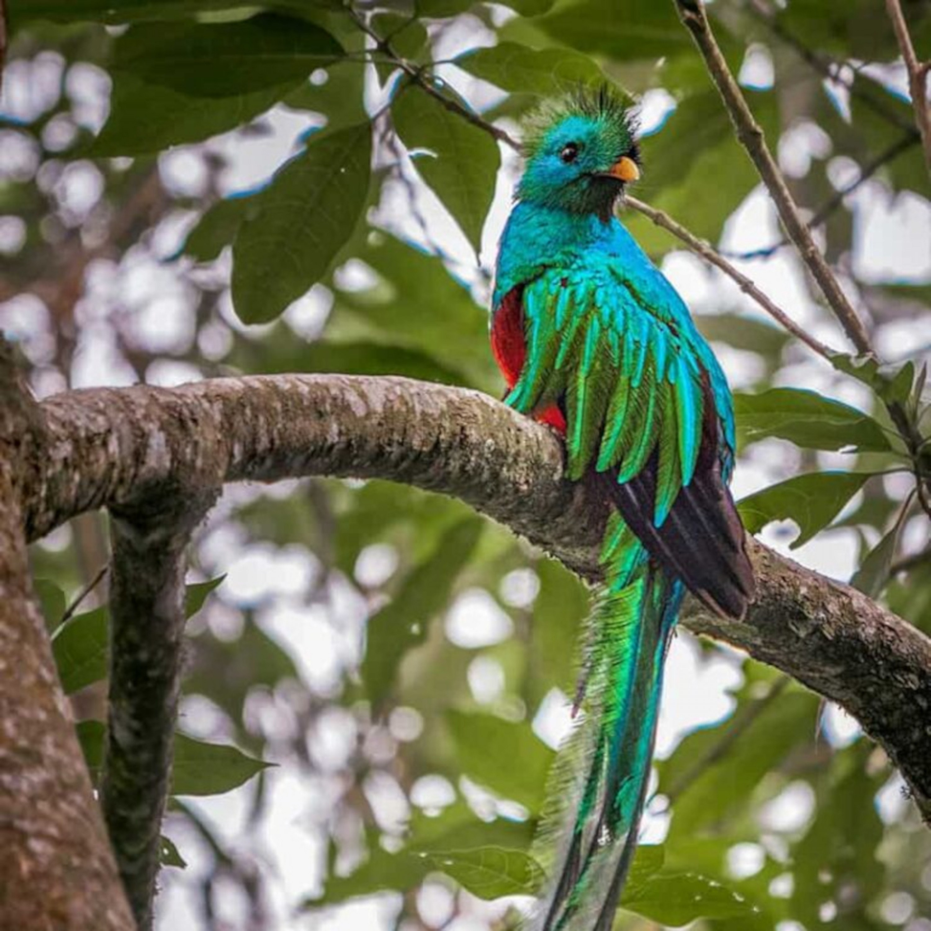 ジャケット写真