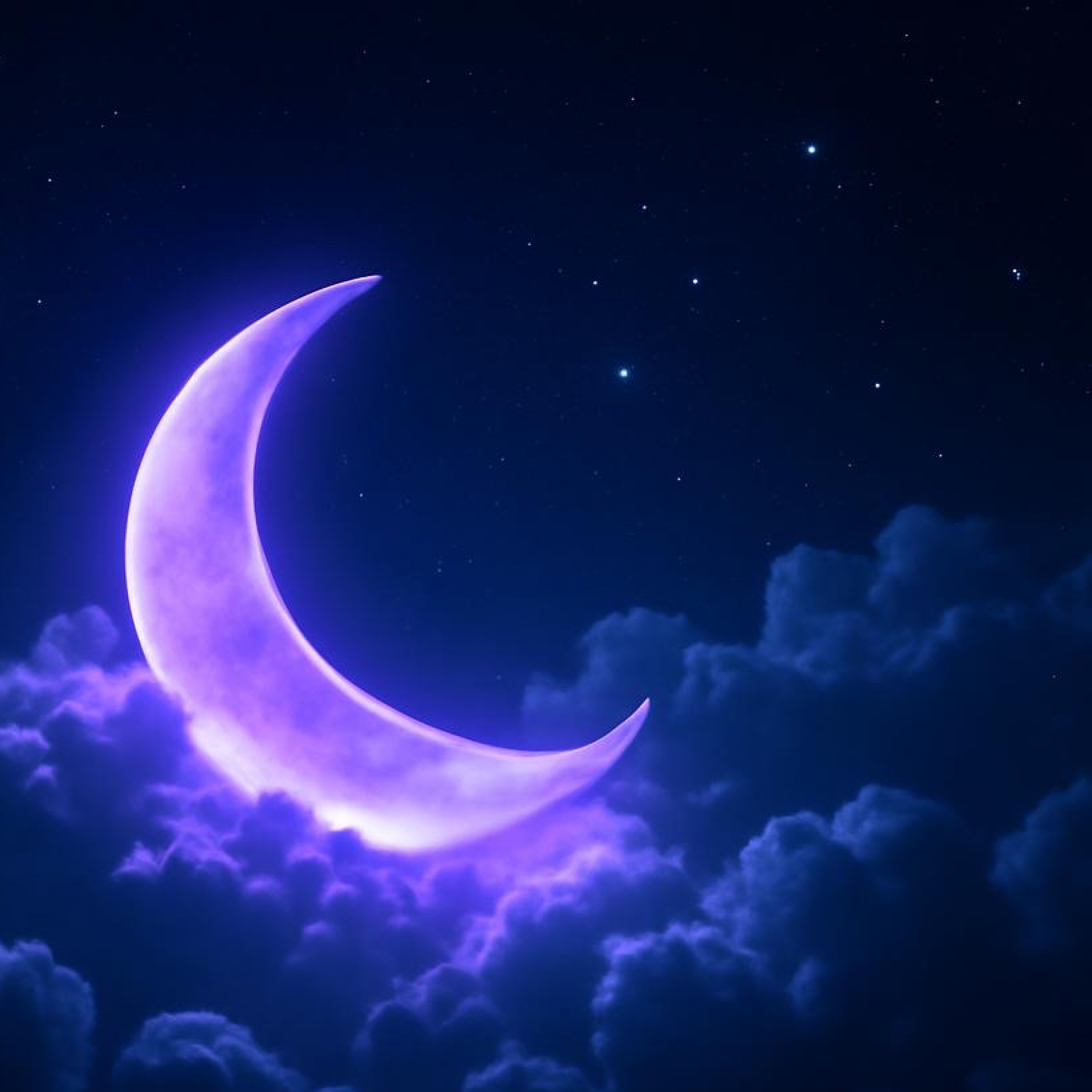 ジャケット写真