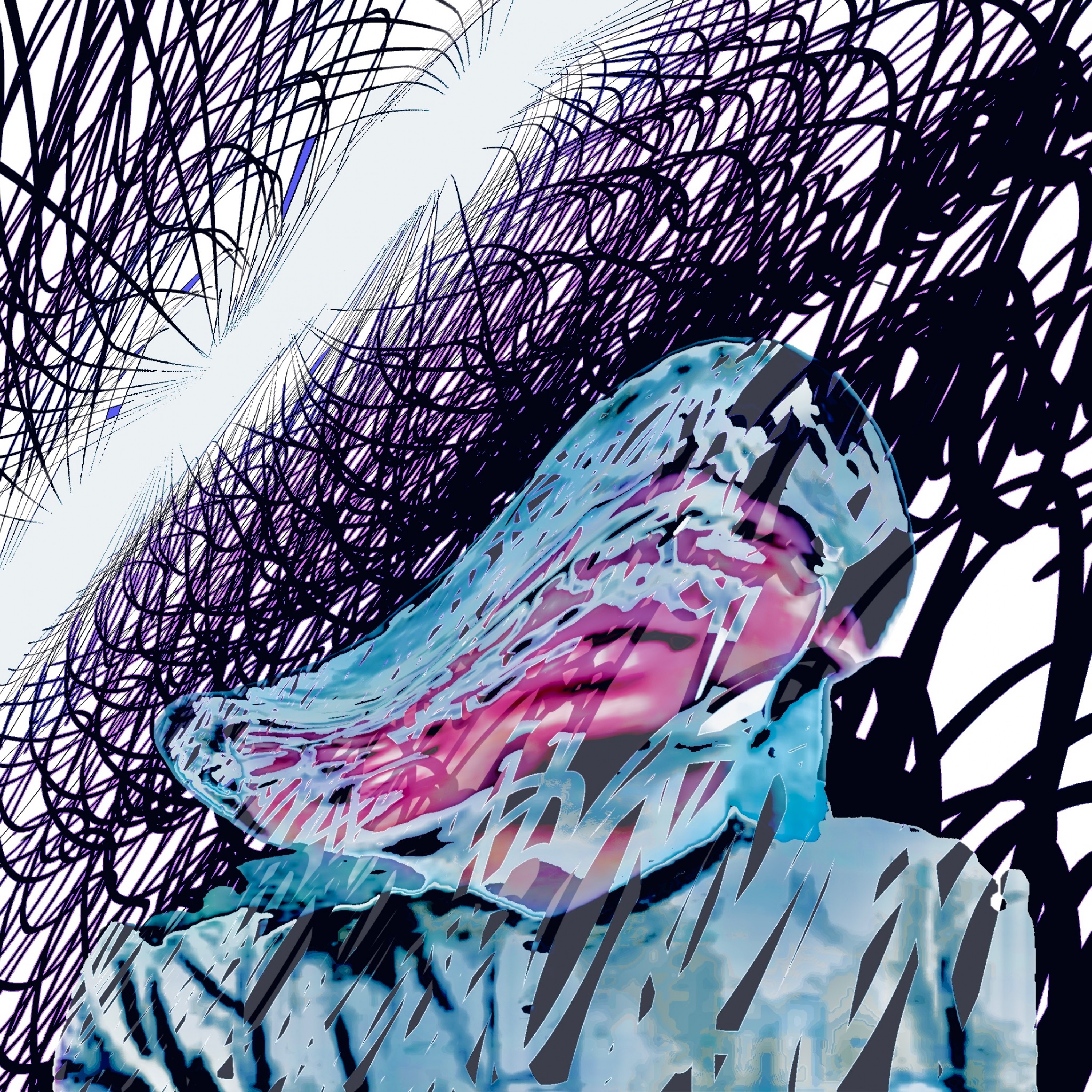 ジャケット写真