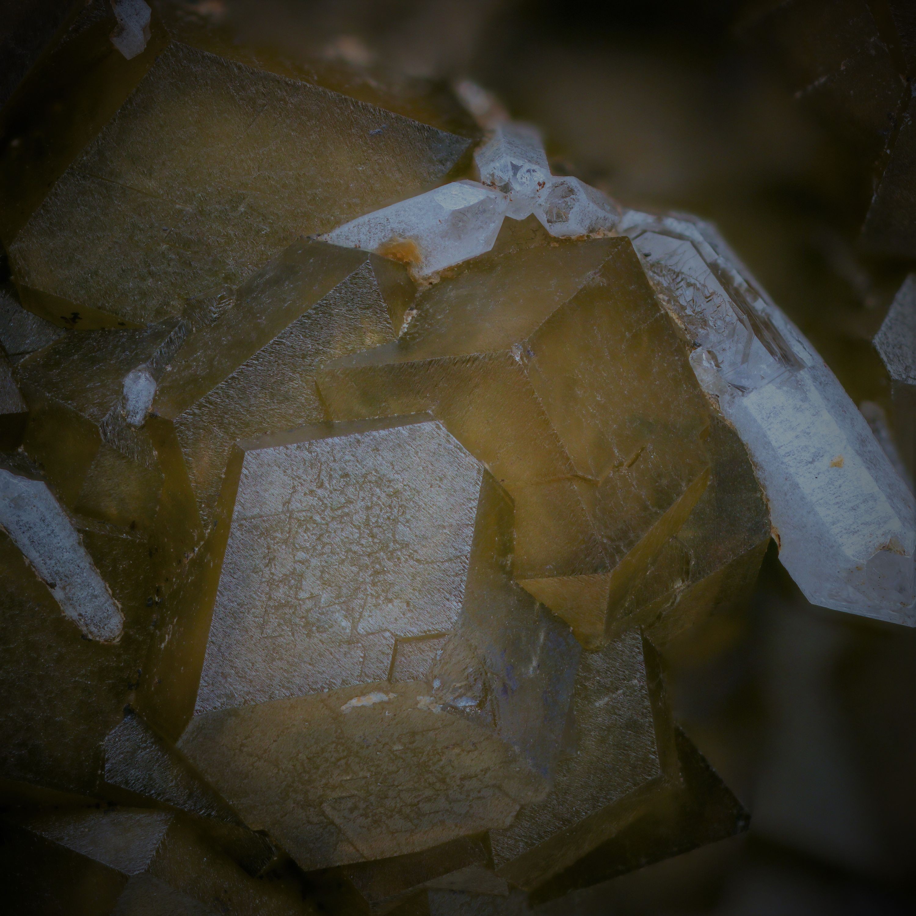 ジャケット写真