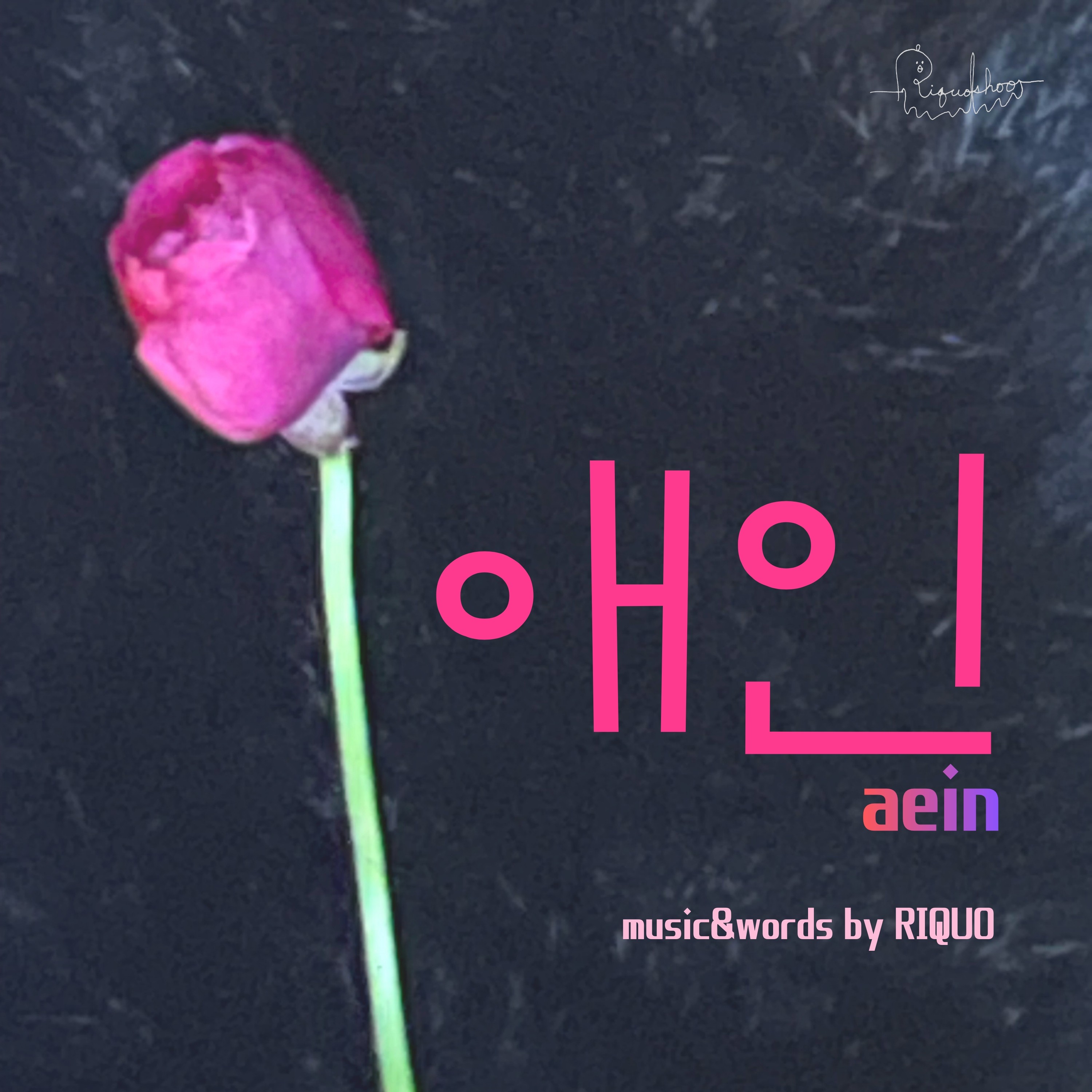 ジャケット写真