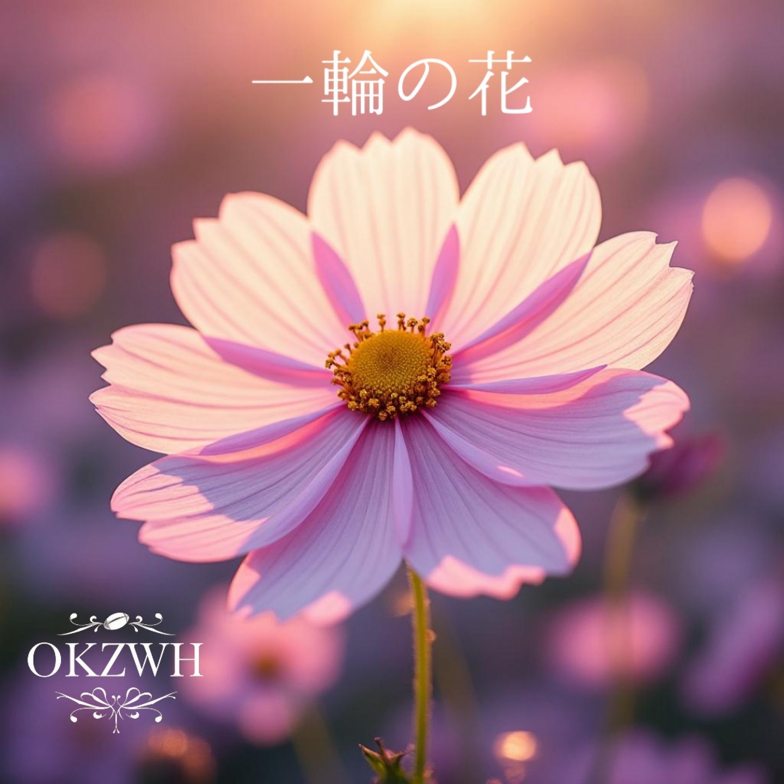 ジャケット写真