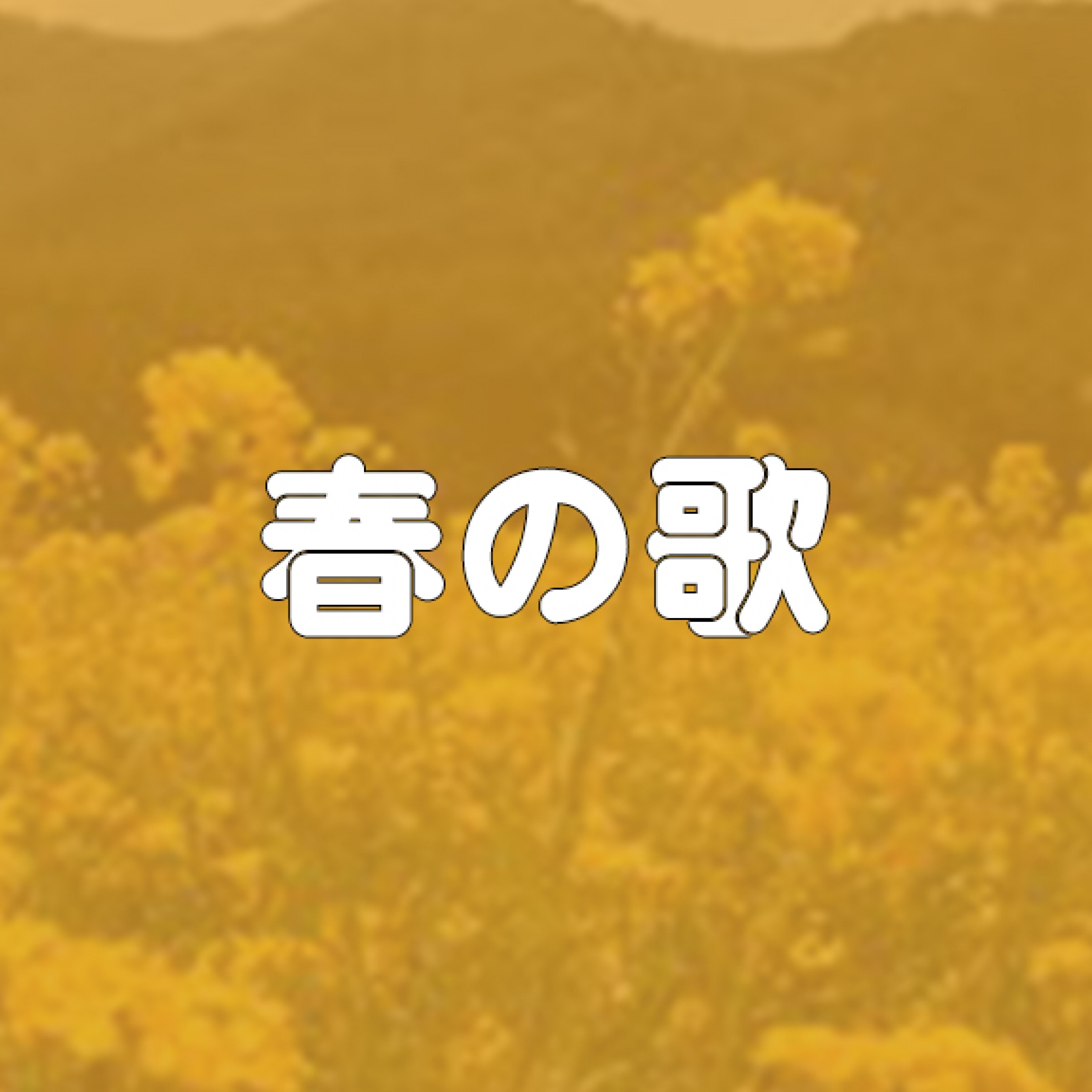 ジャケット写真