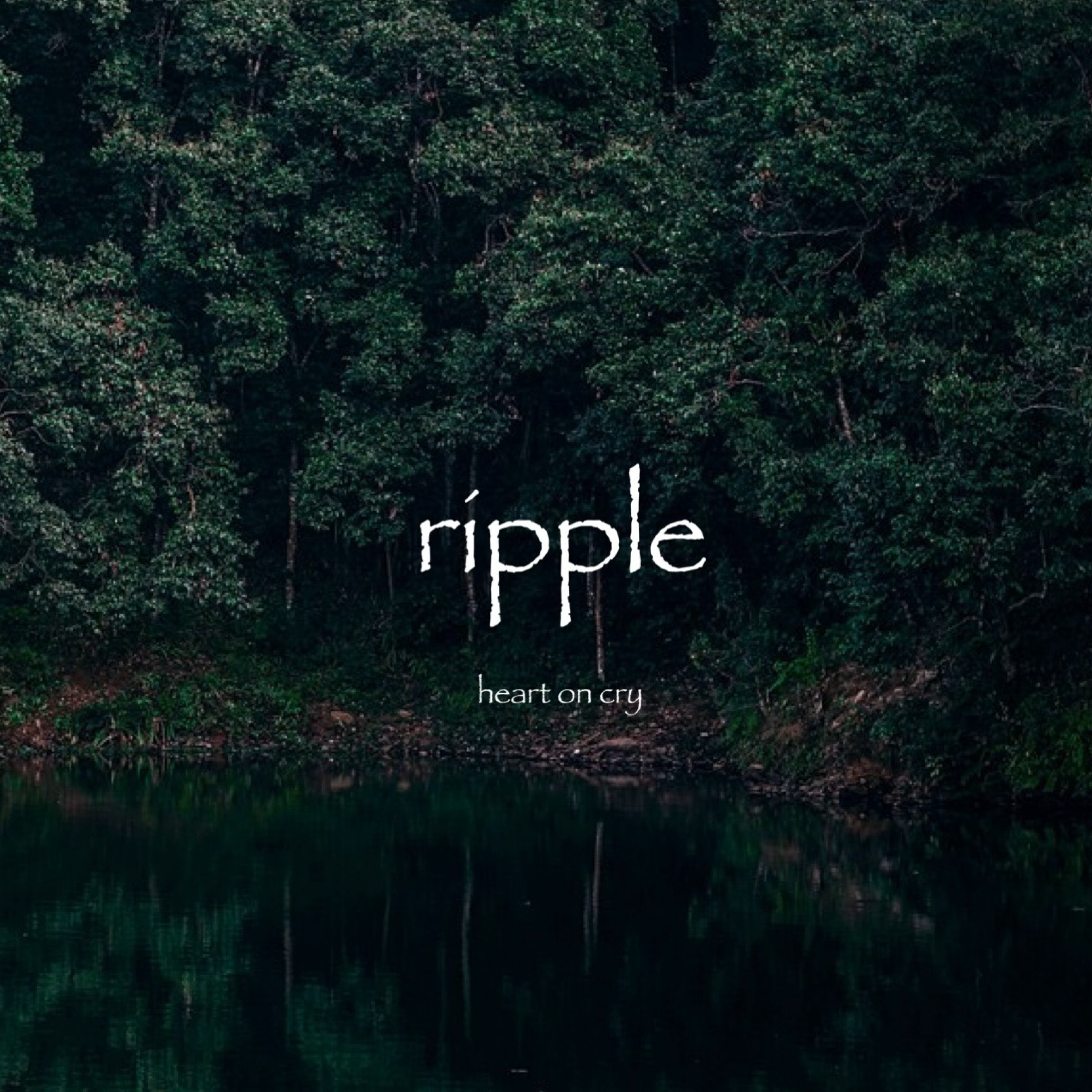 ジャケット写真