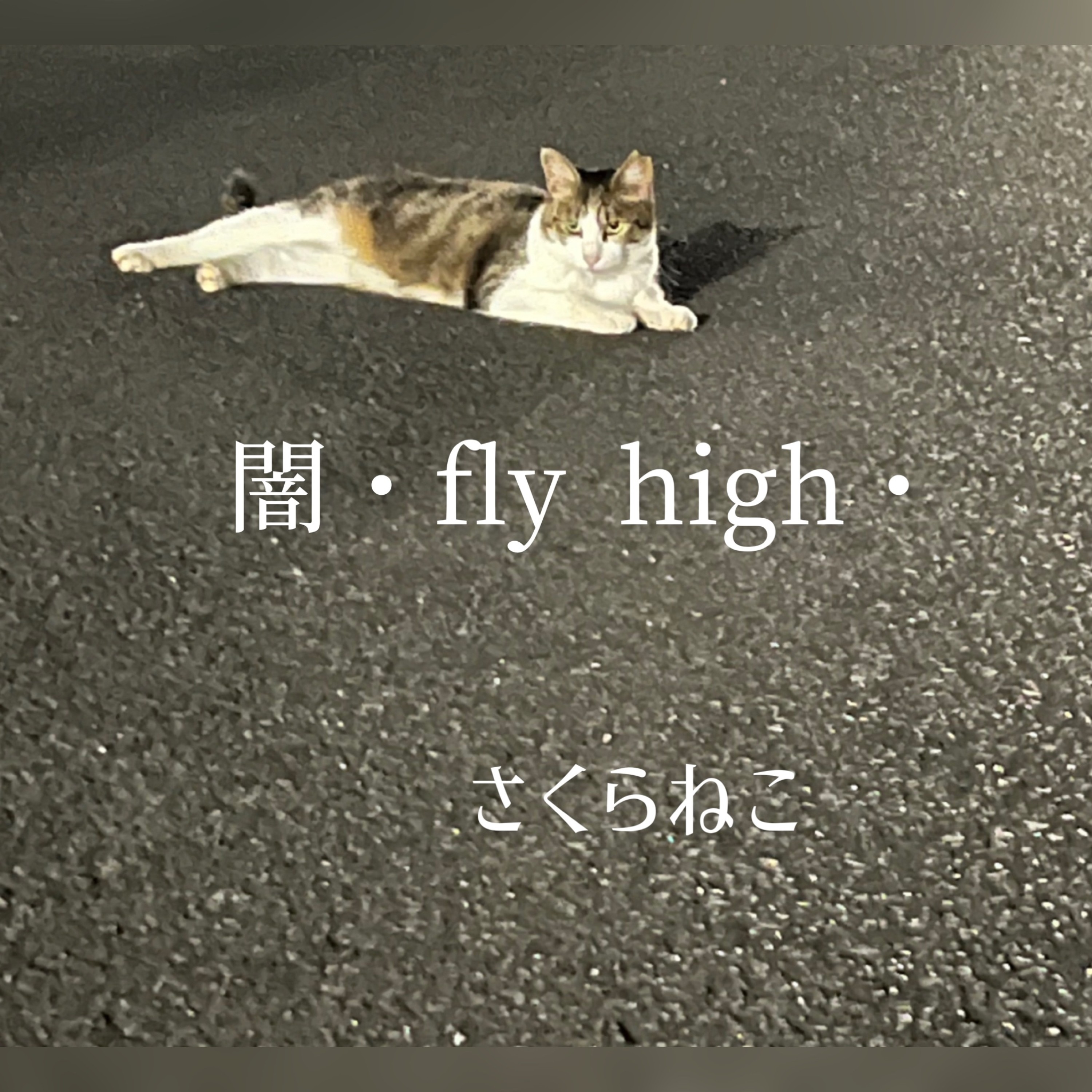 ジャケット写真