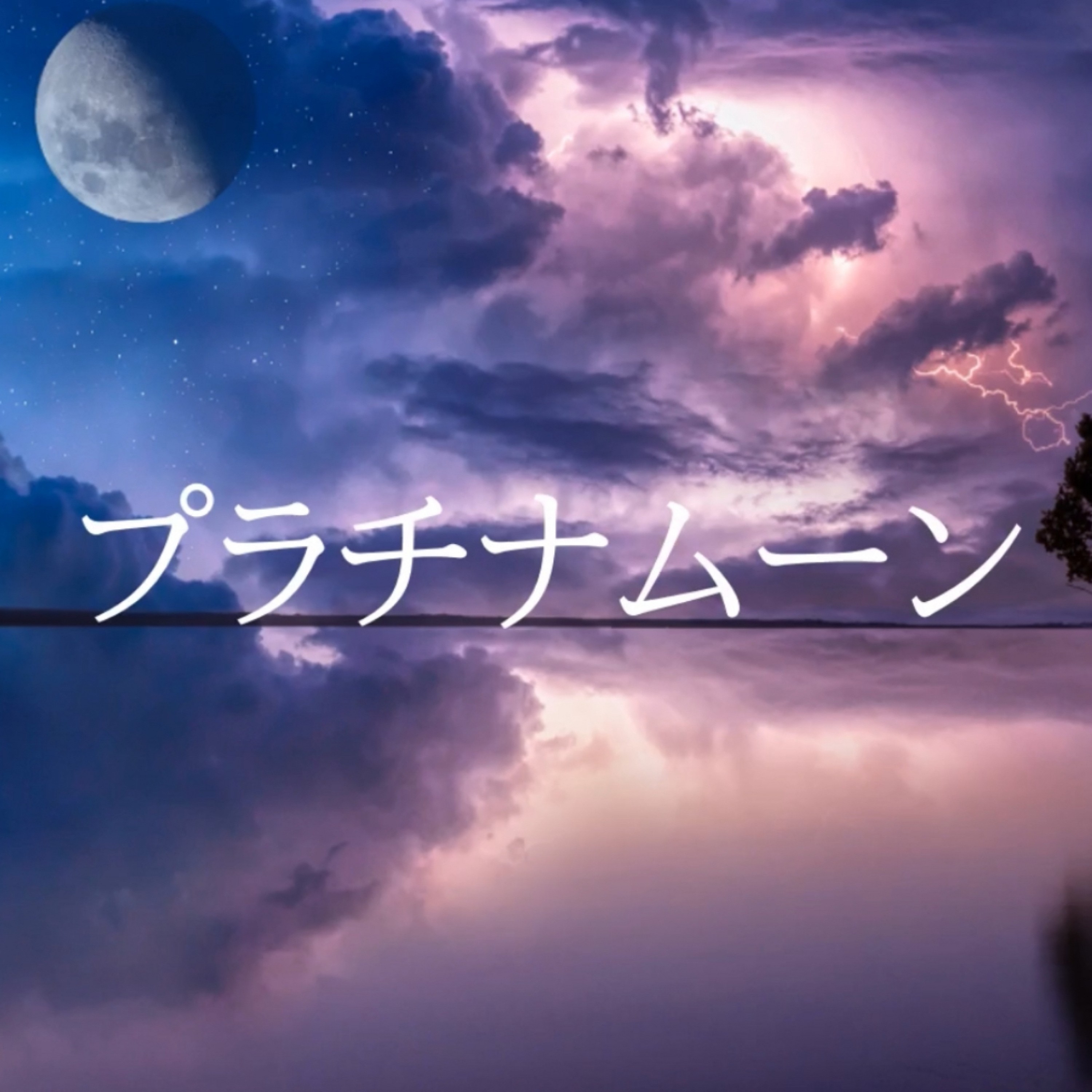 ジャケット写真