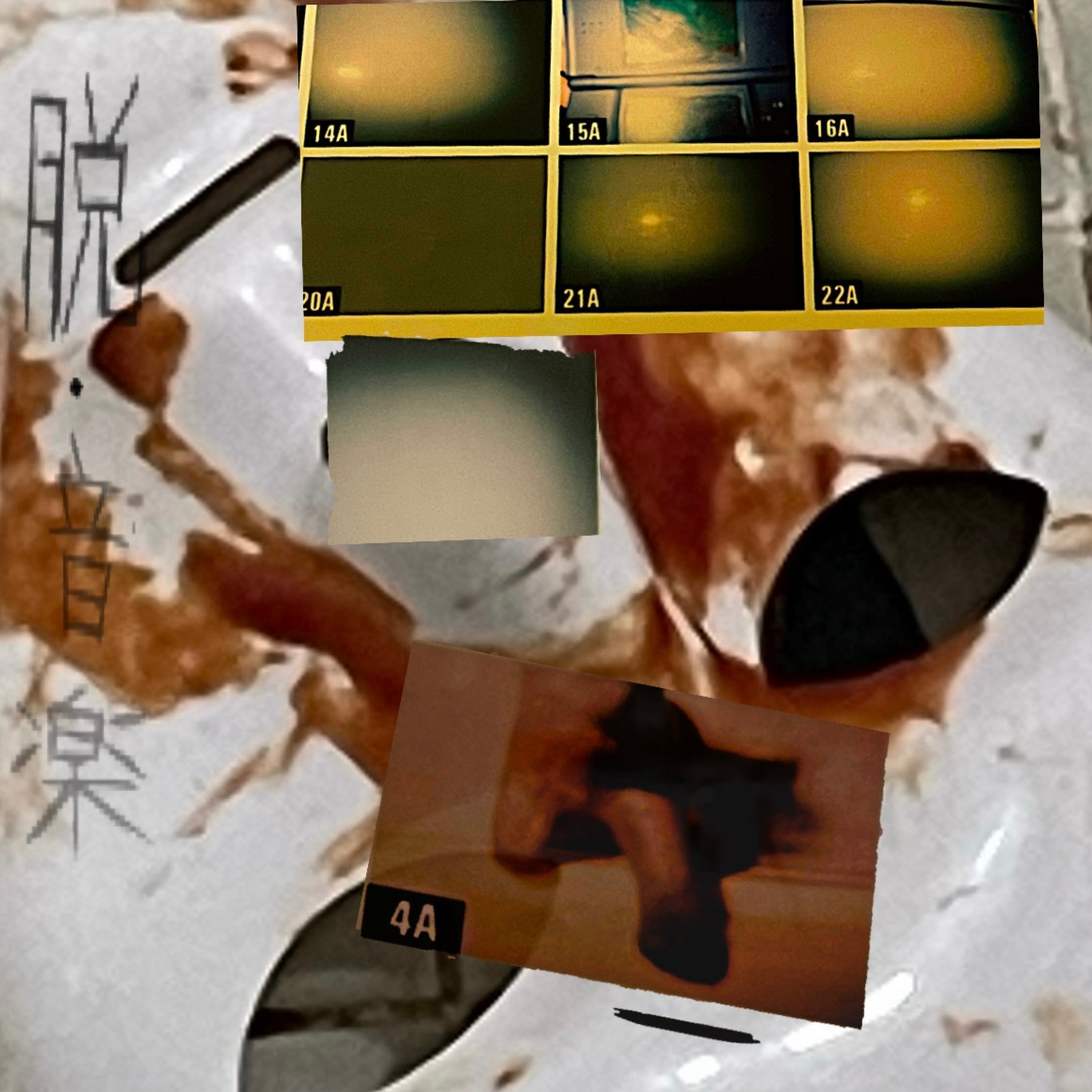 ジャケット写真