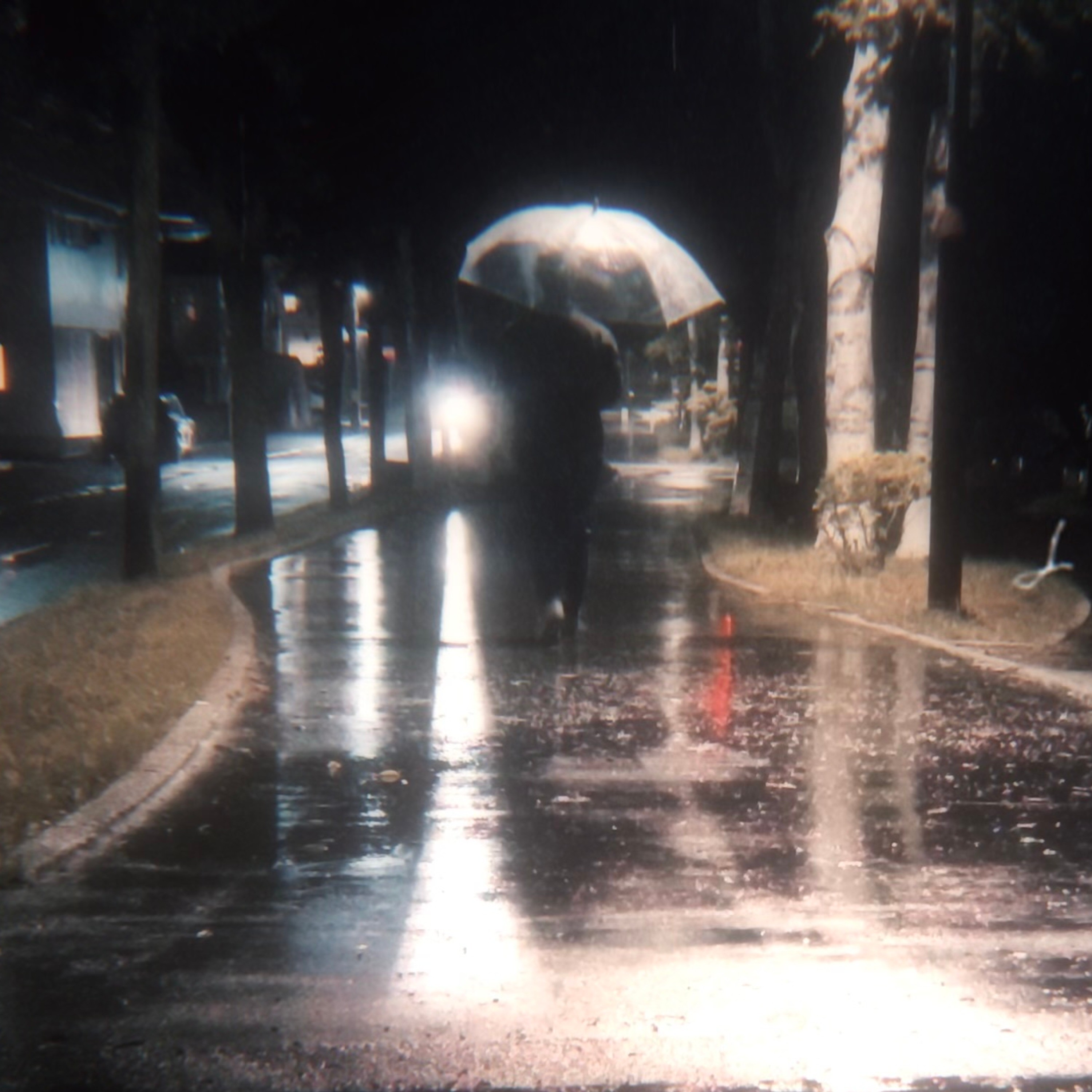 ジャケット写真