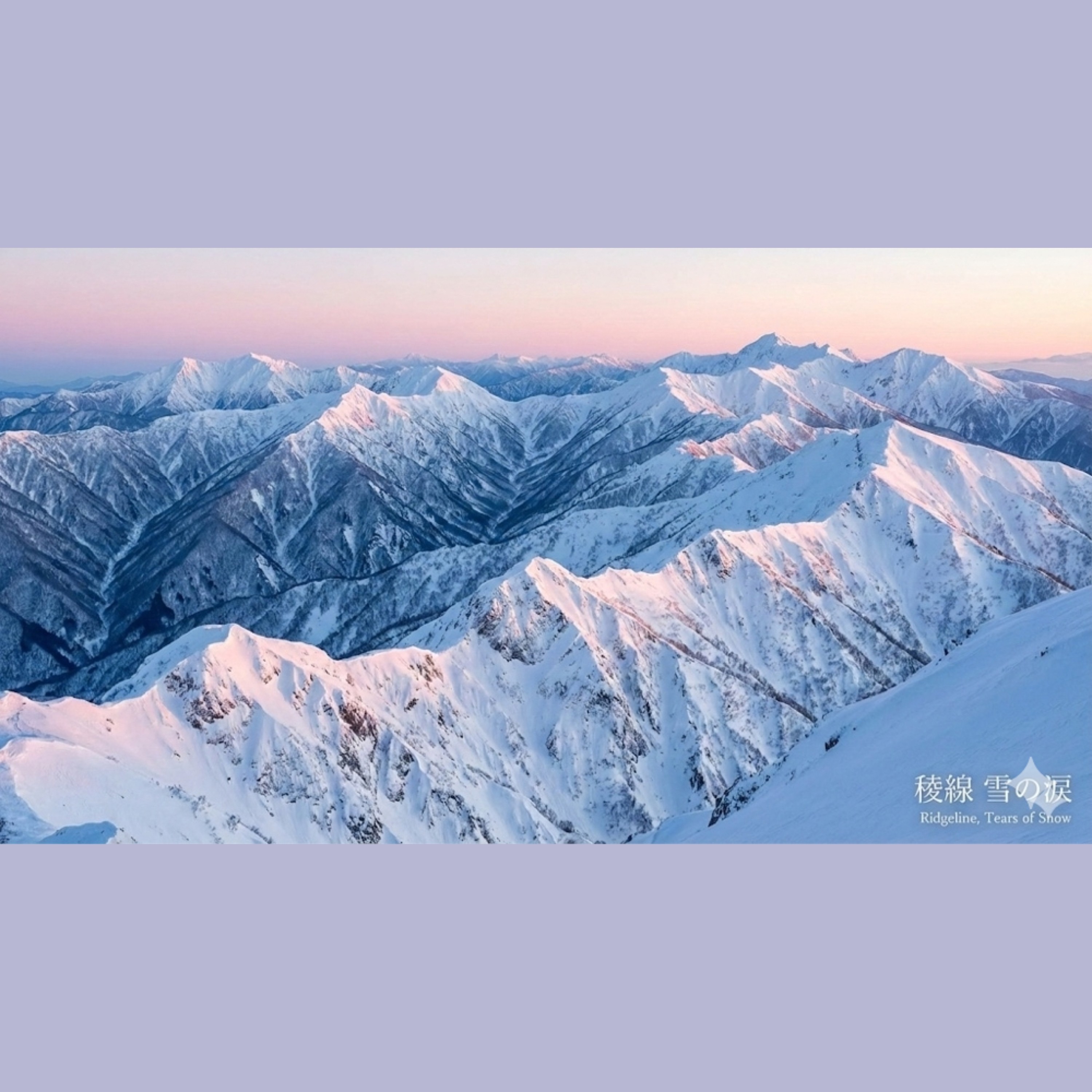 ジャケット写真