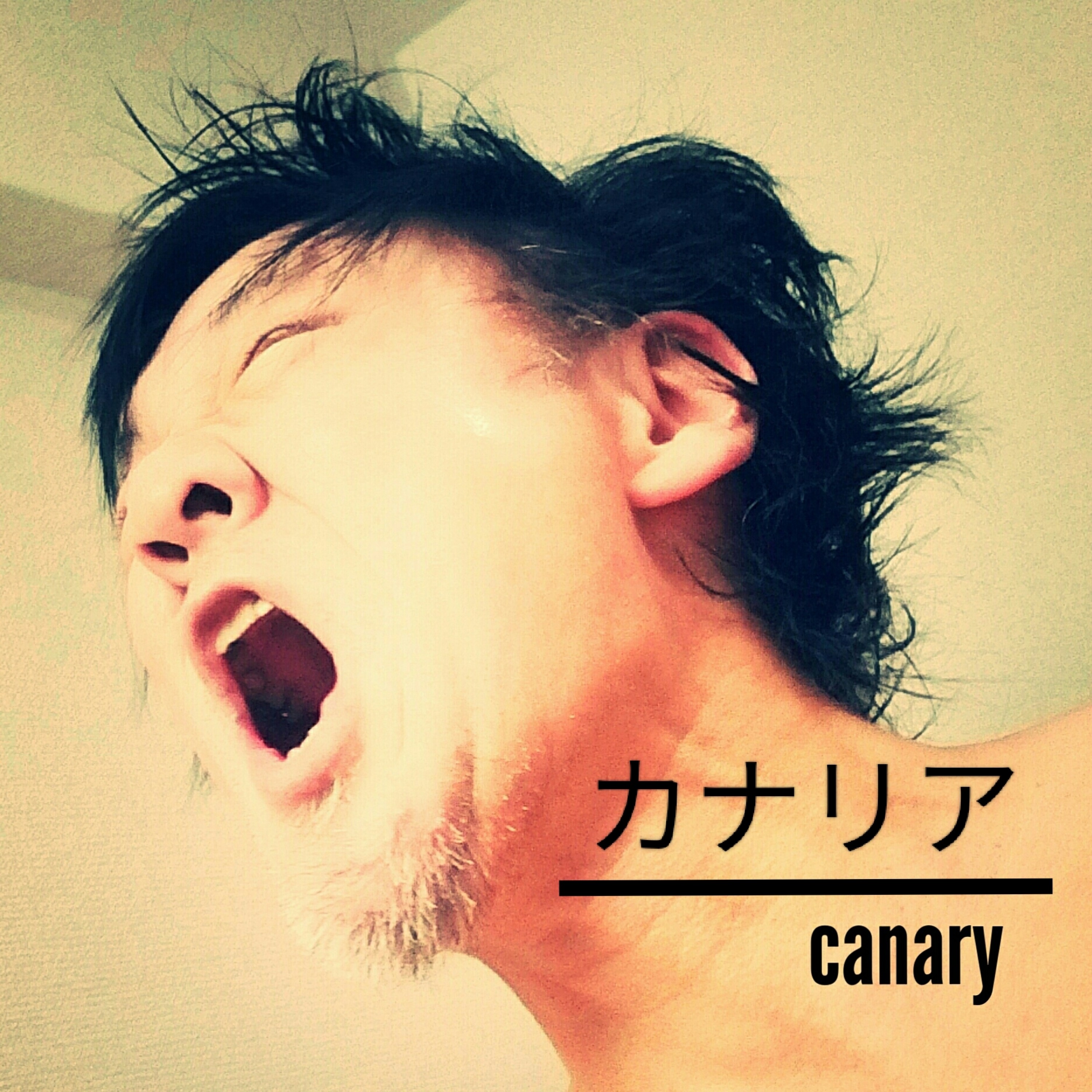 ジャケット写真