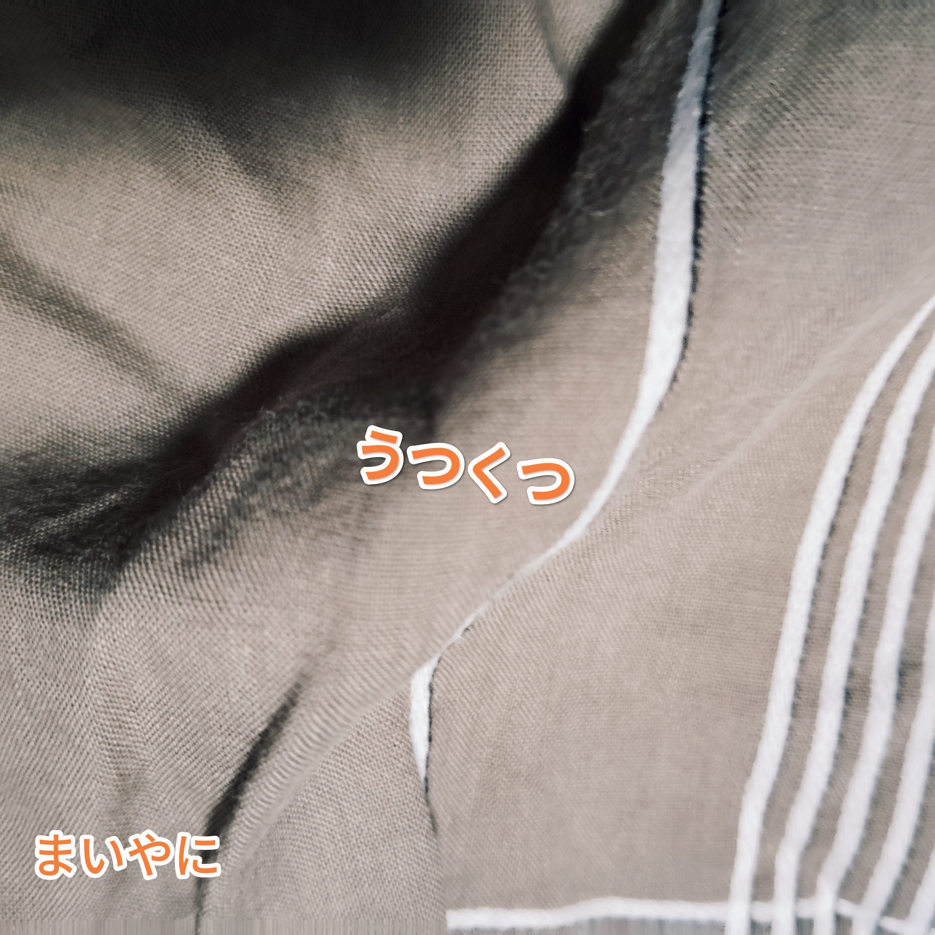 ジャケット写真