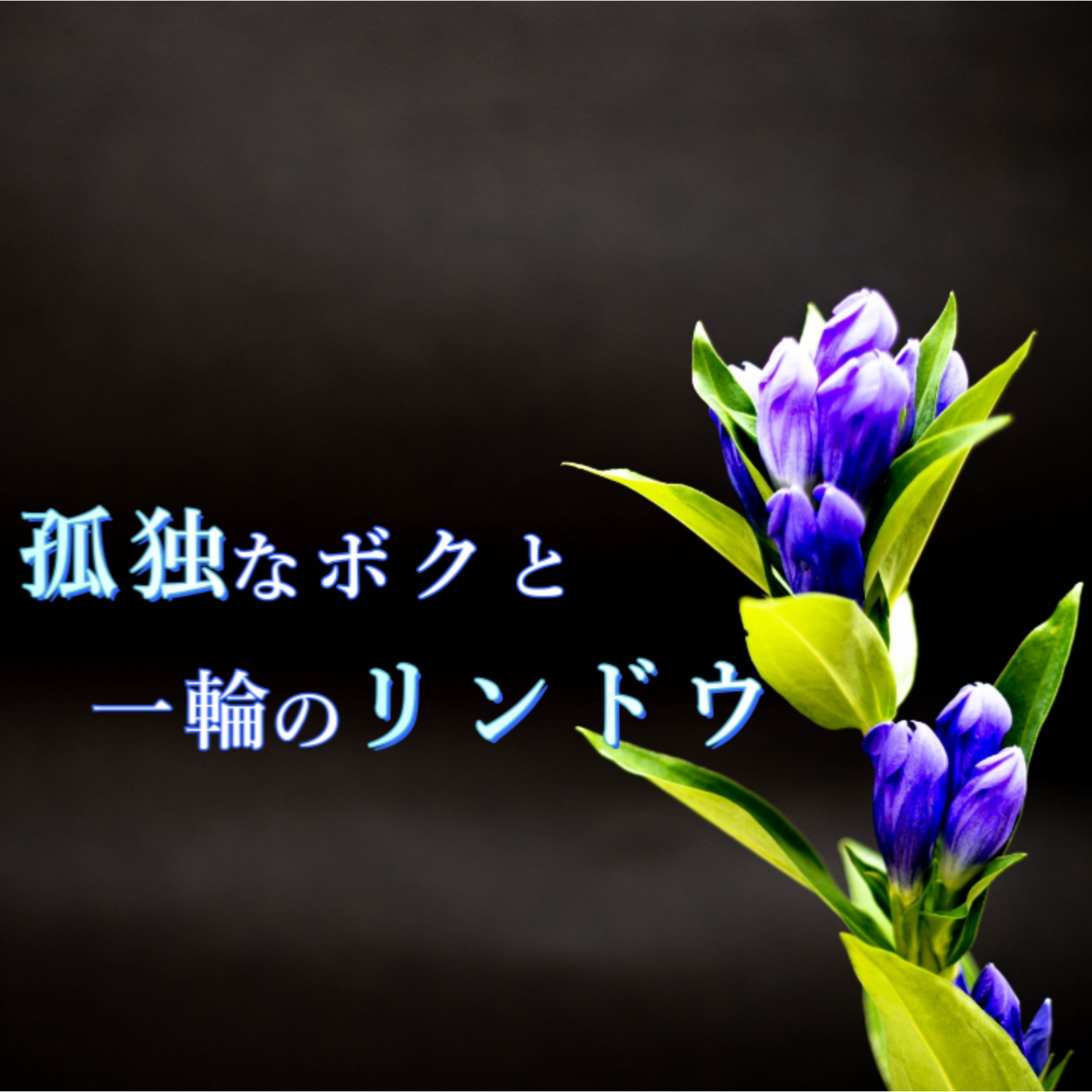 ジャケット写真