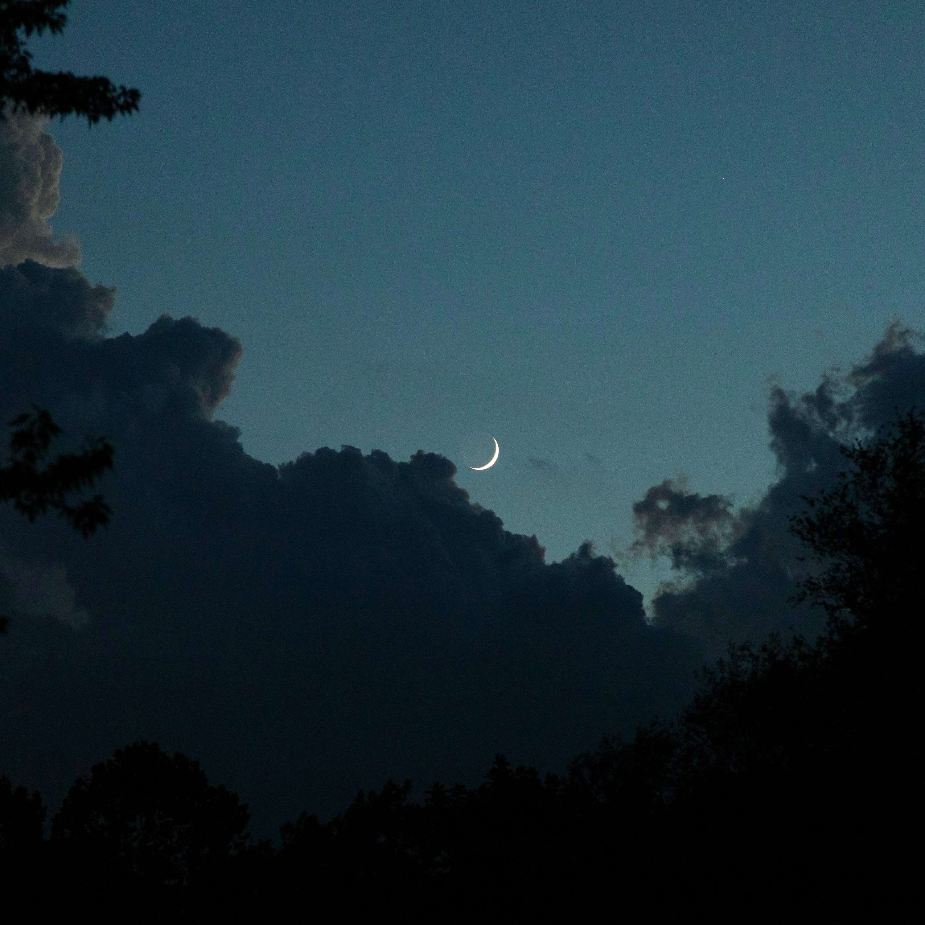 ジャケット写真