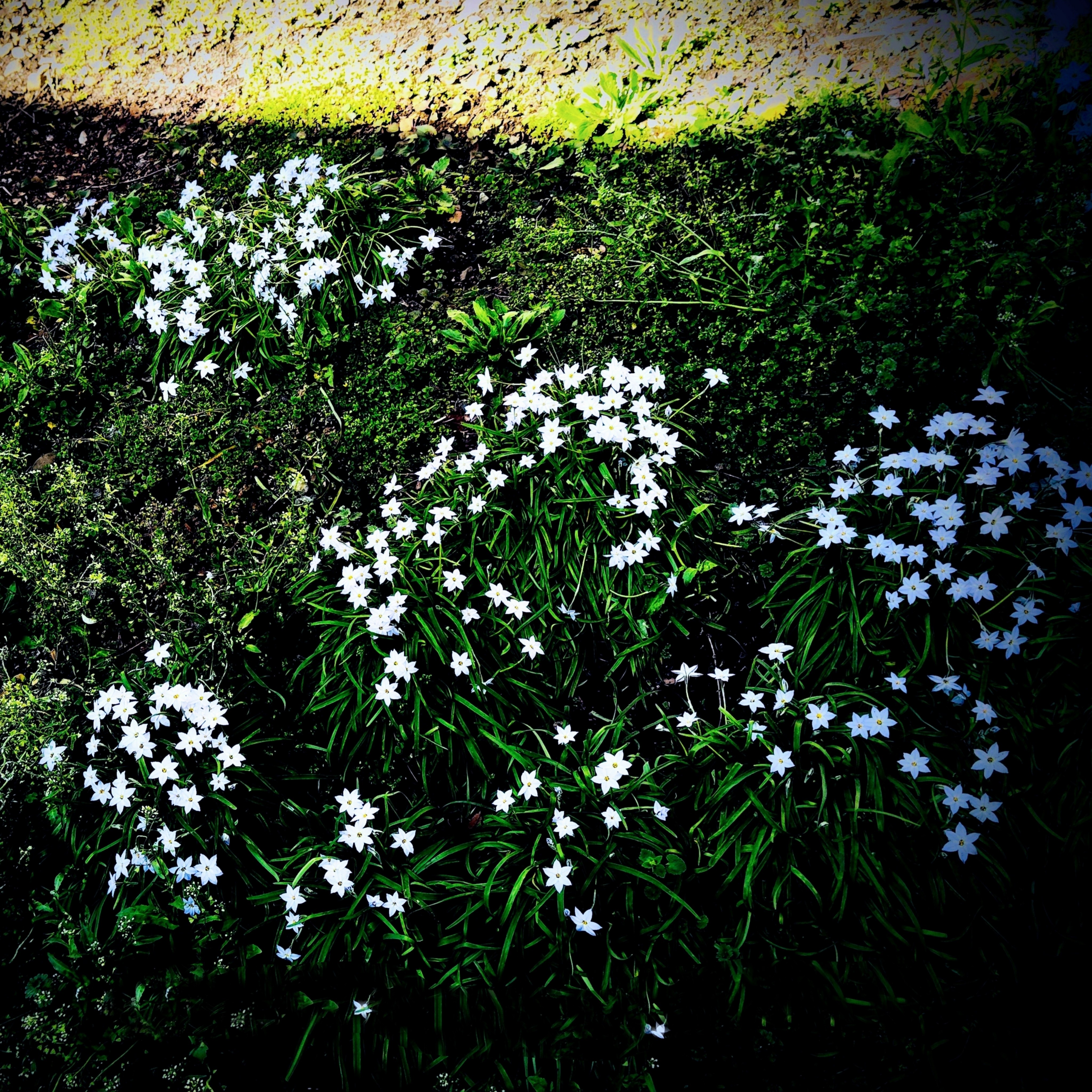 ジャケット写真