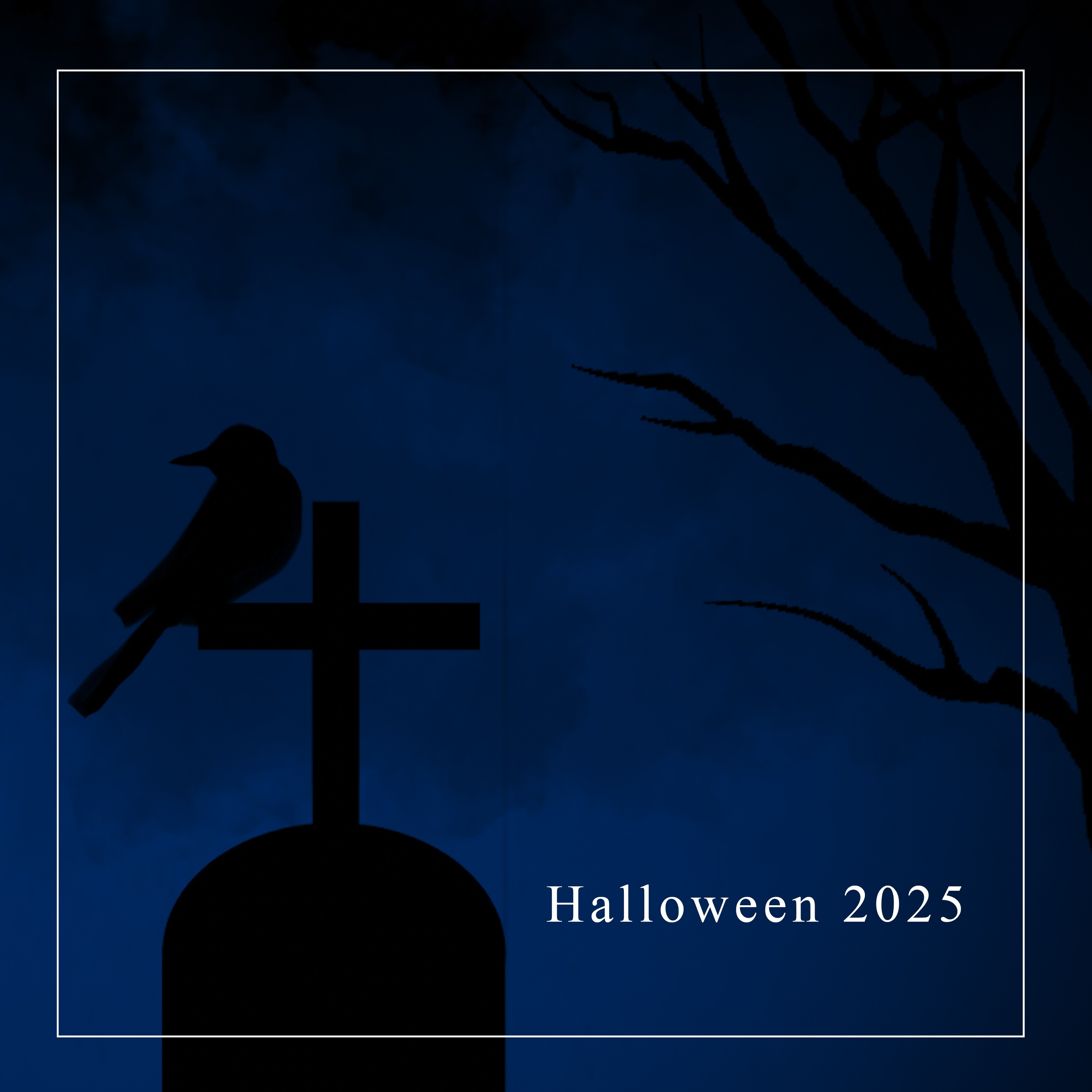 ジャケット写真