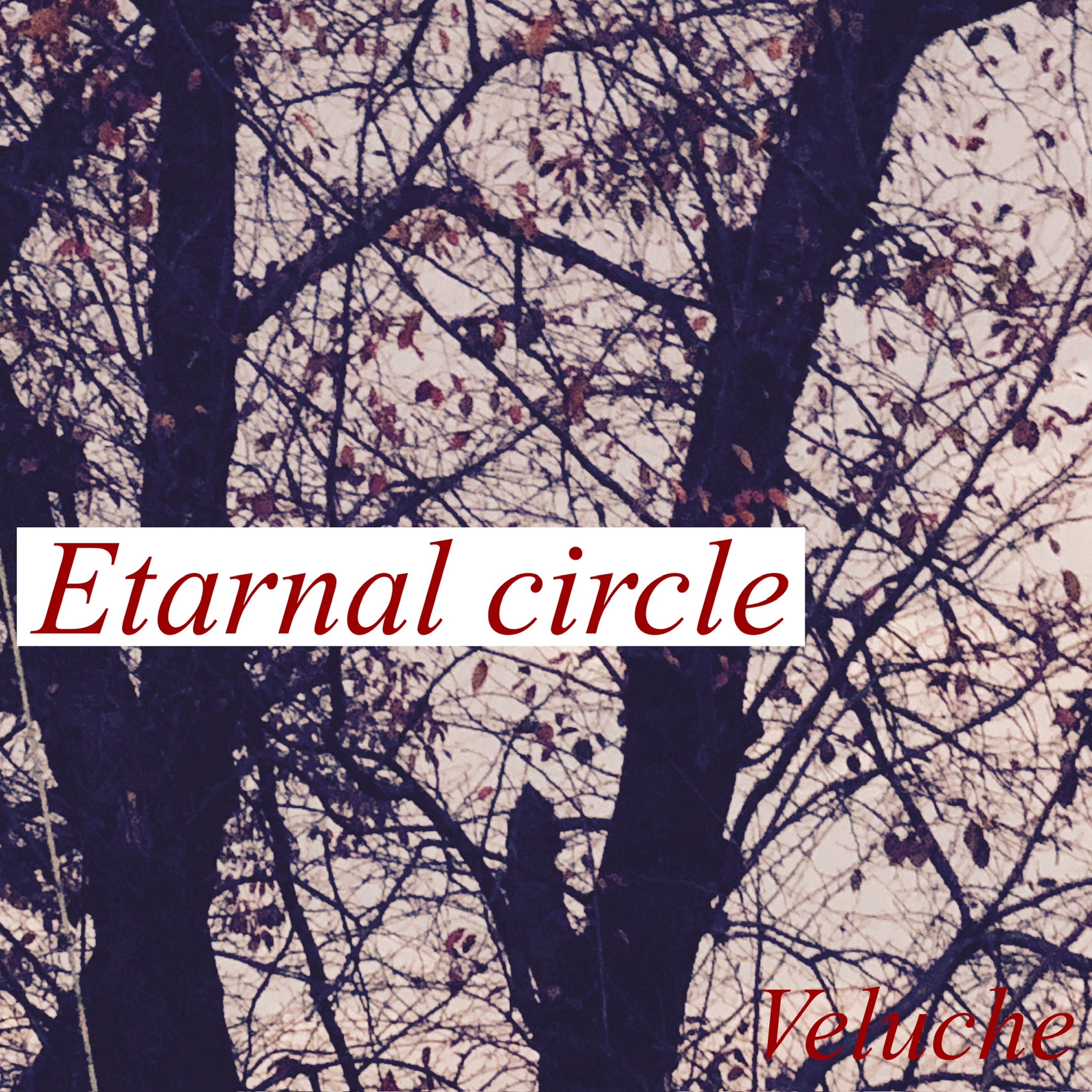 ジャケット写真