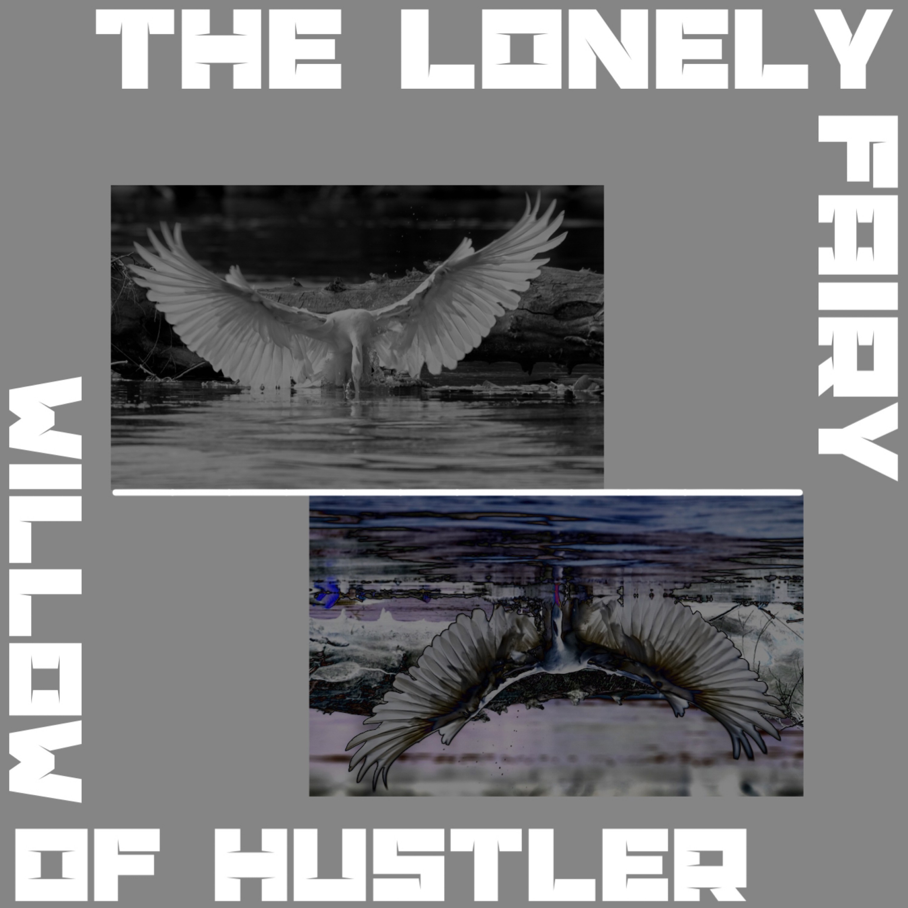 ジャケット写真