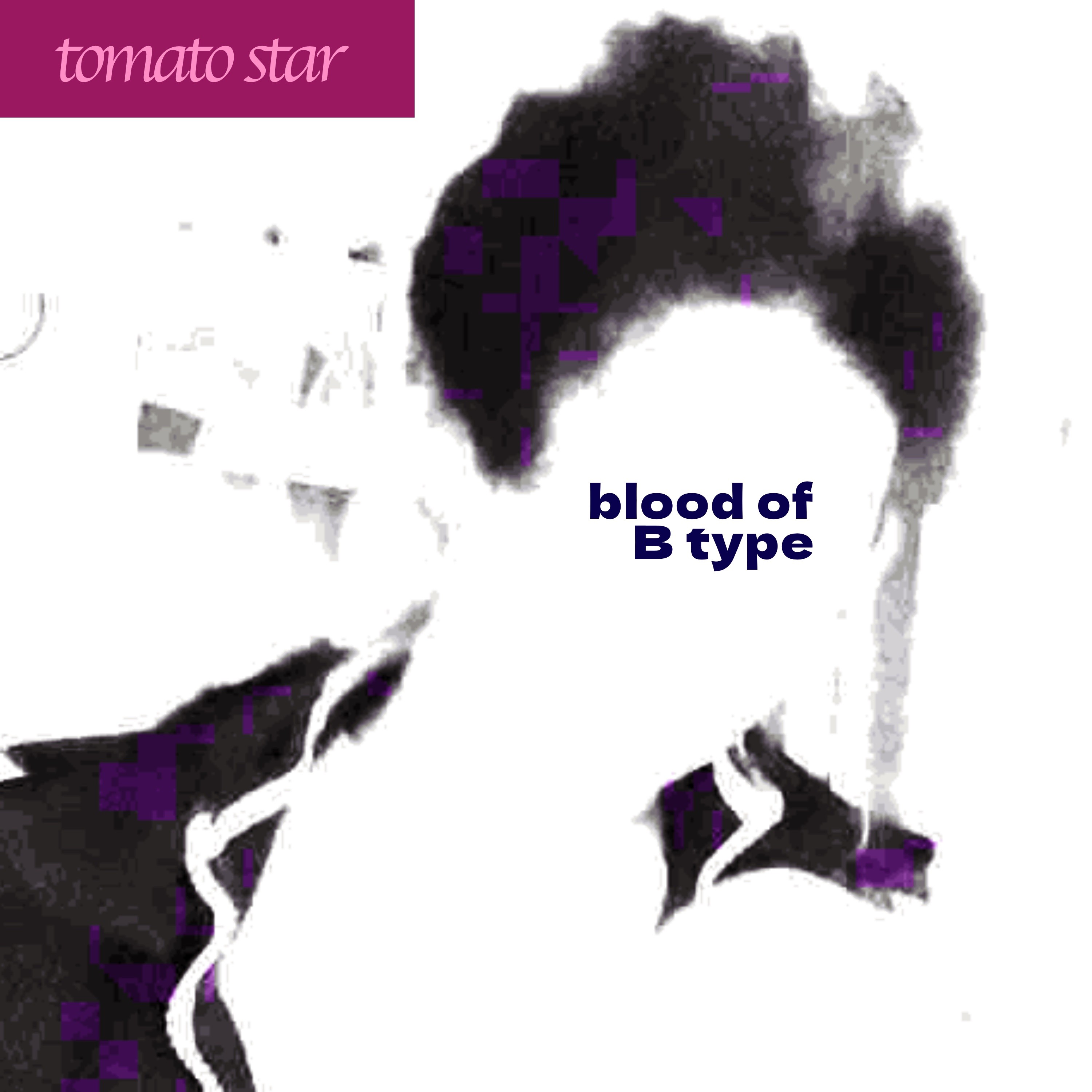 ジャケット写真