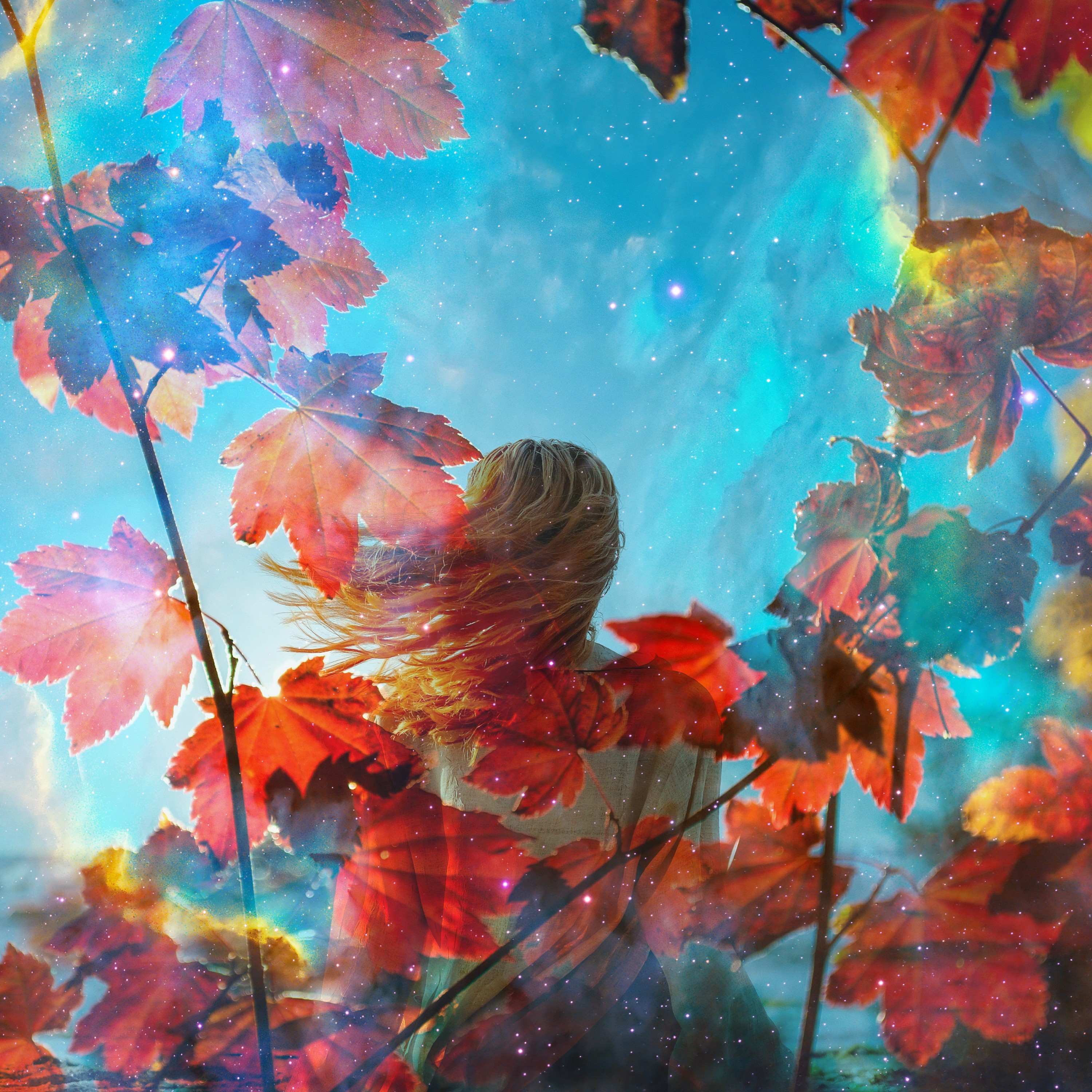 ジャケット写真