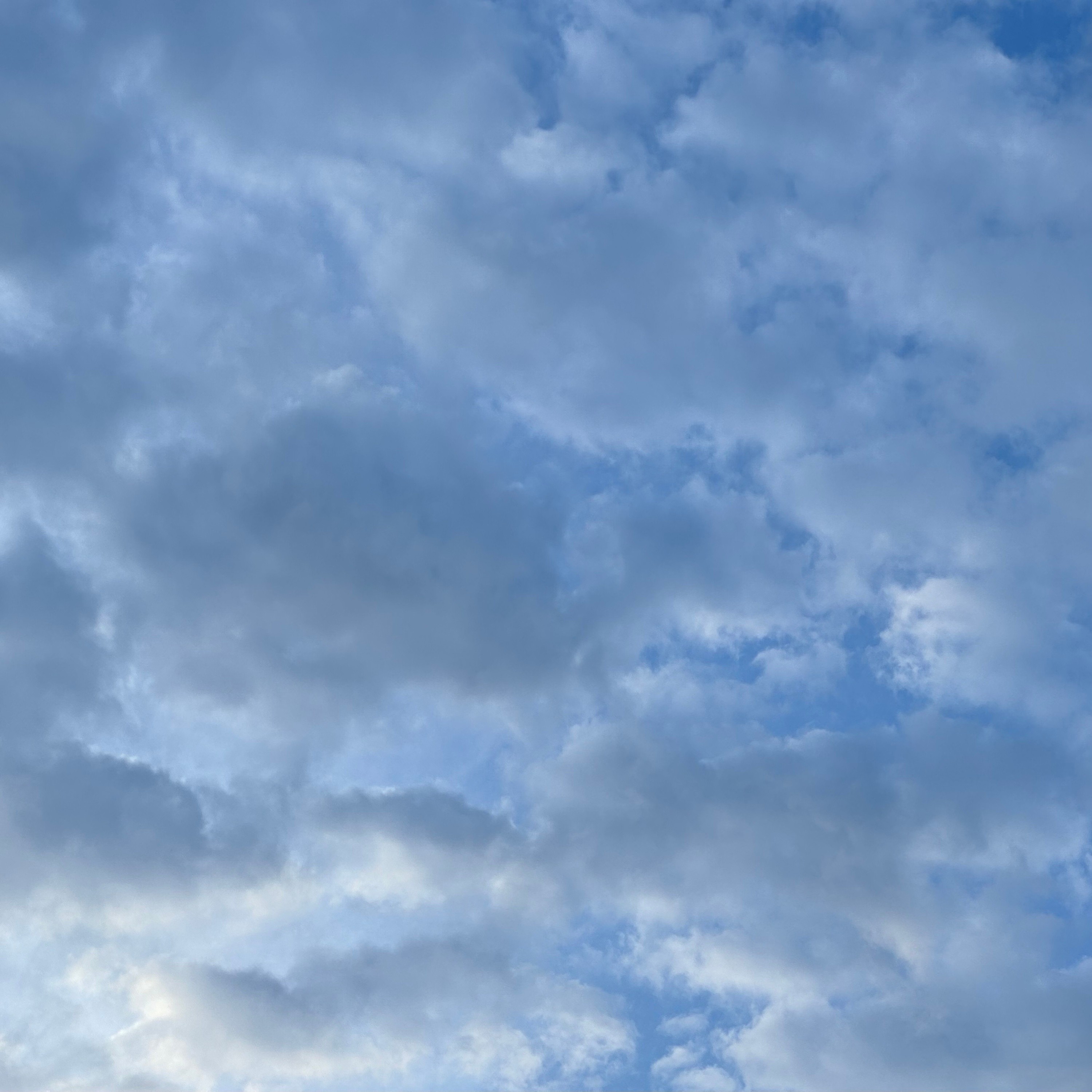 ジャケット写真