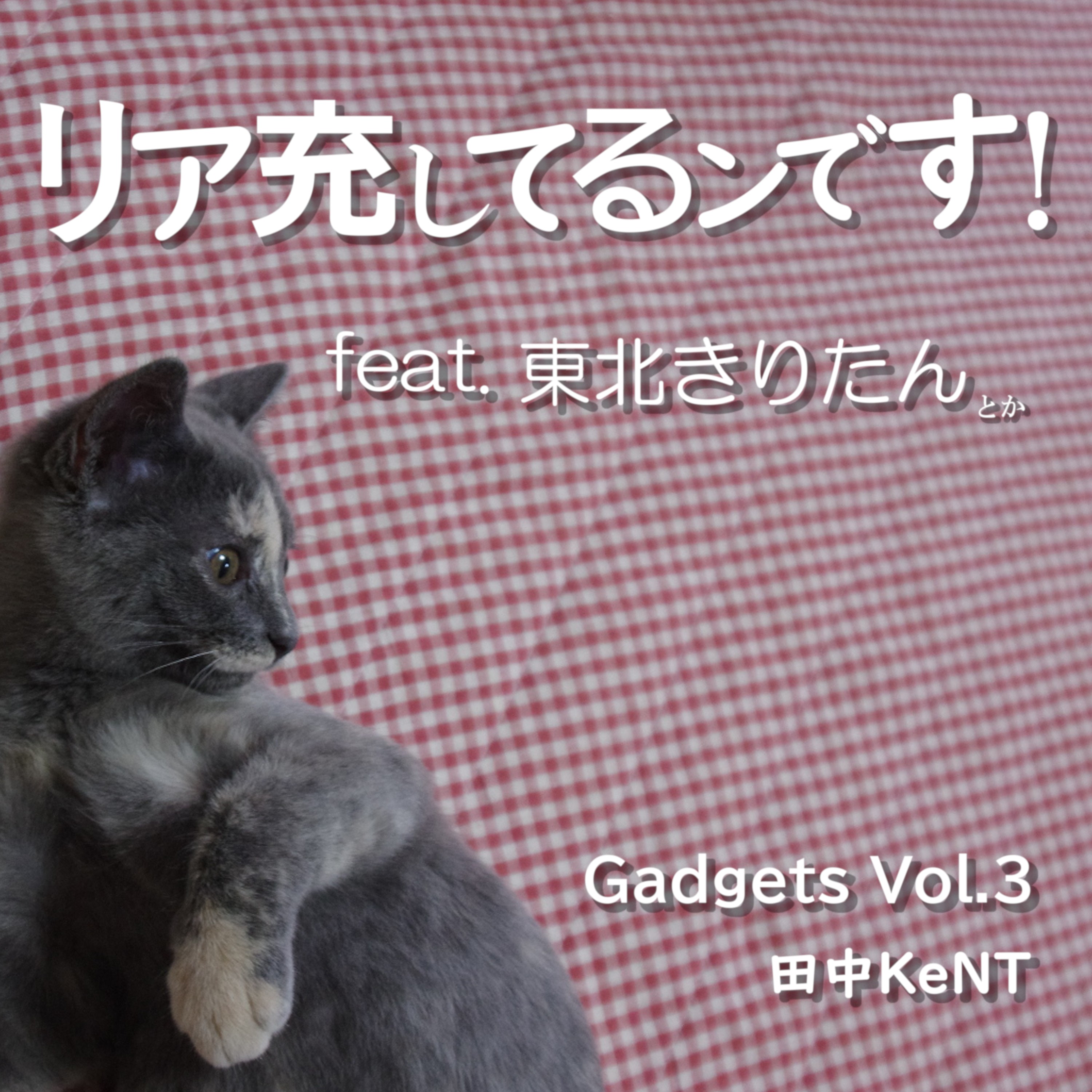 ジャケット写真