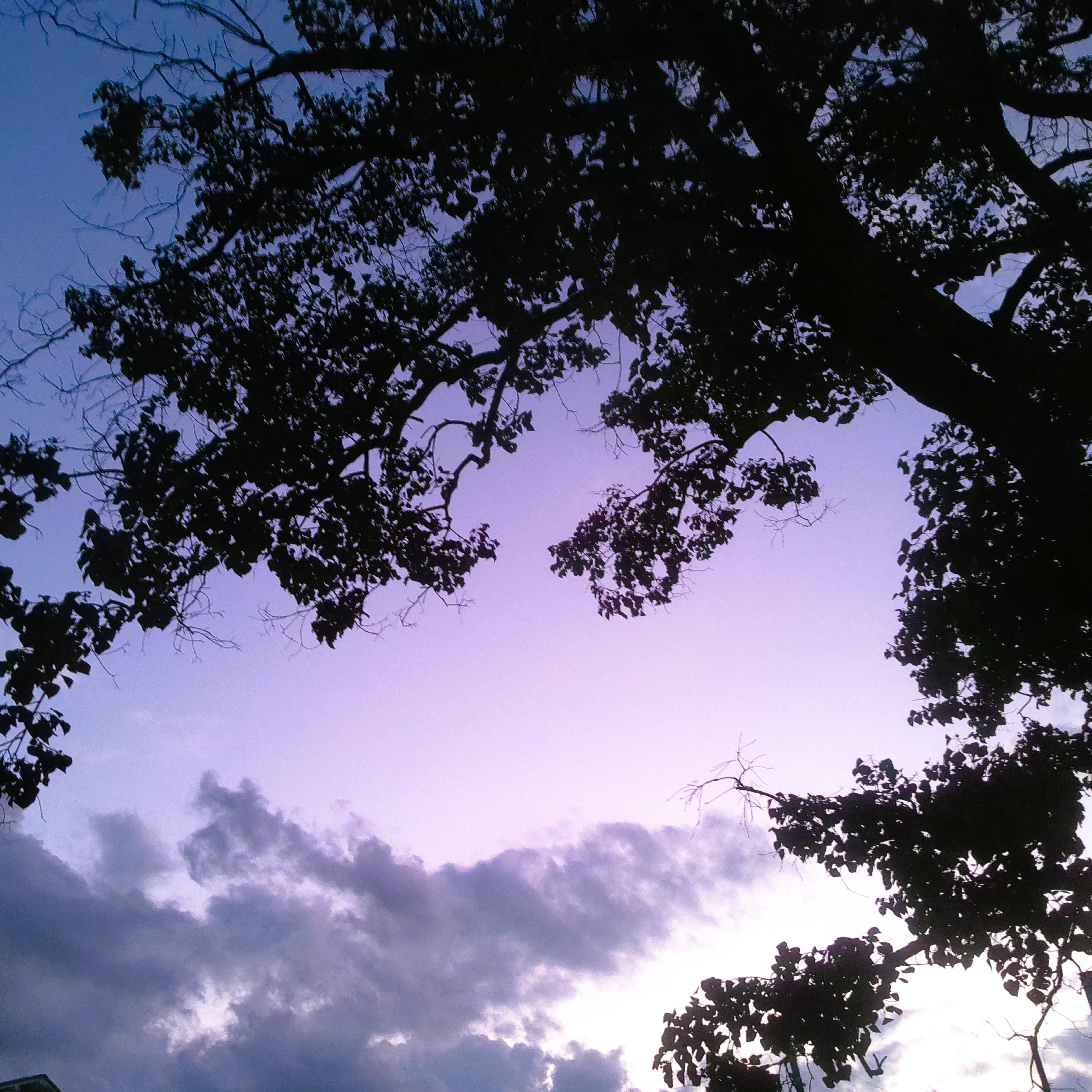 ジャケット写真