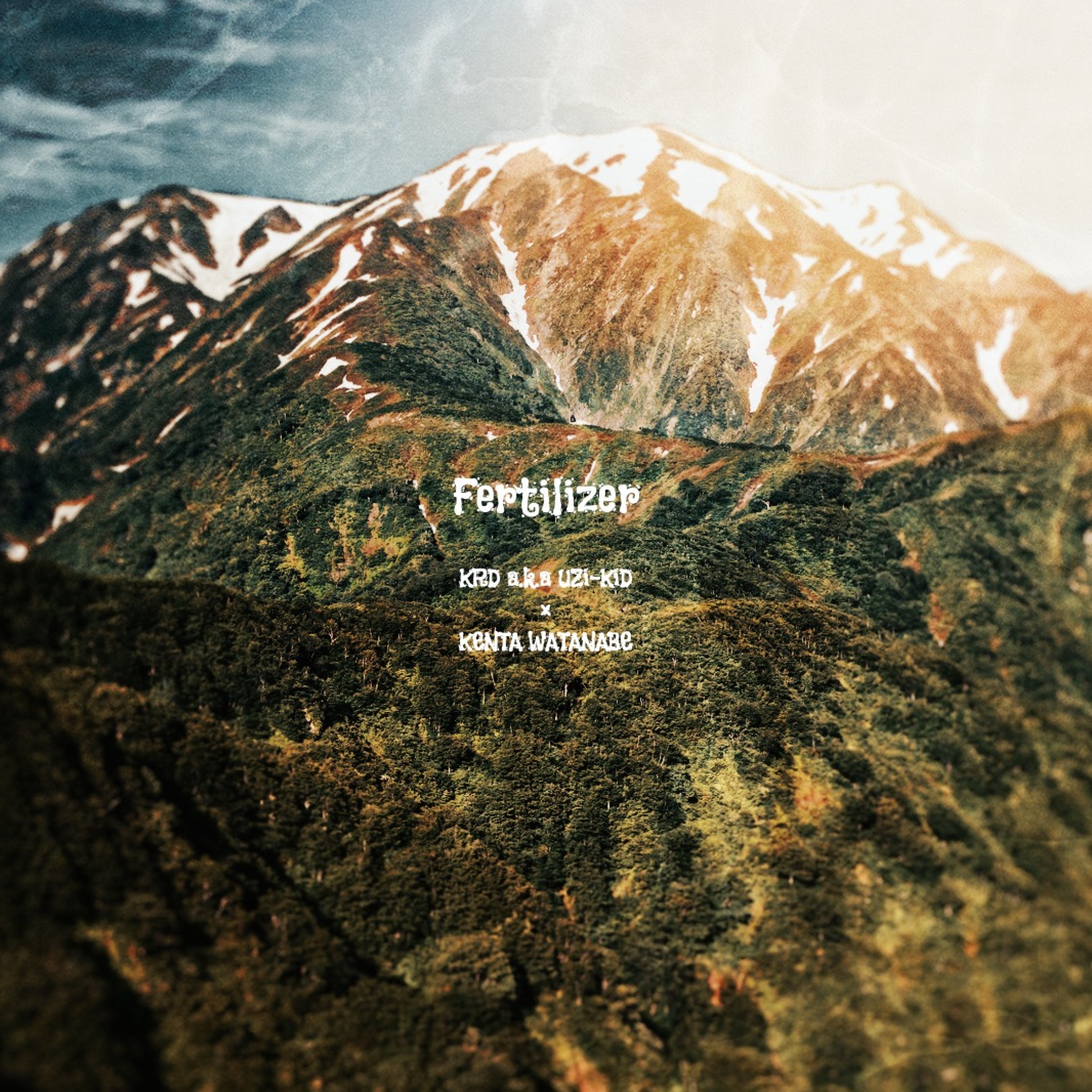 ジャケット写真