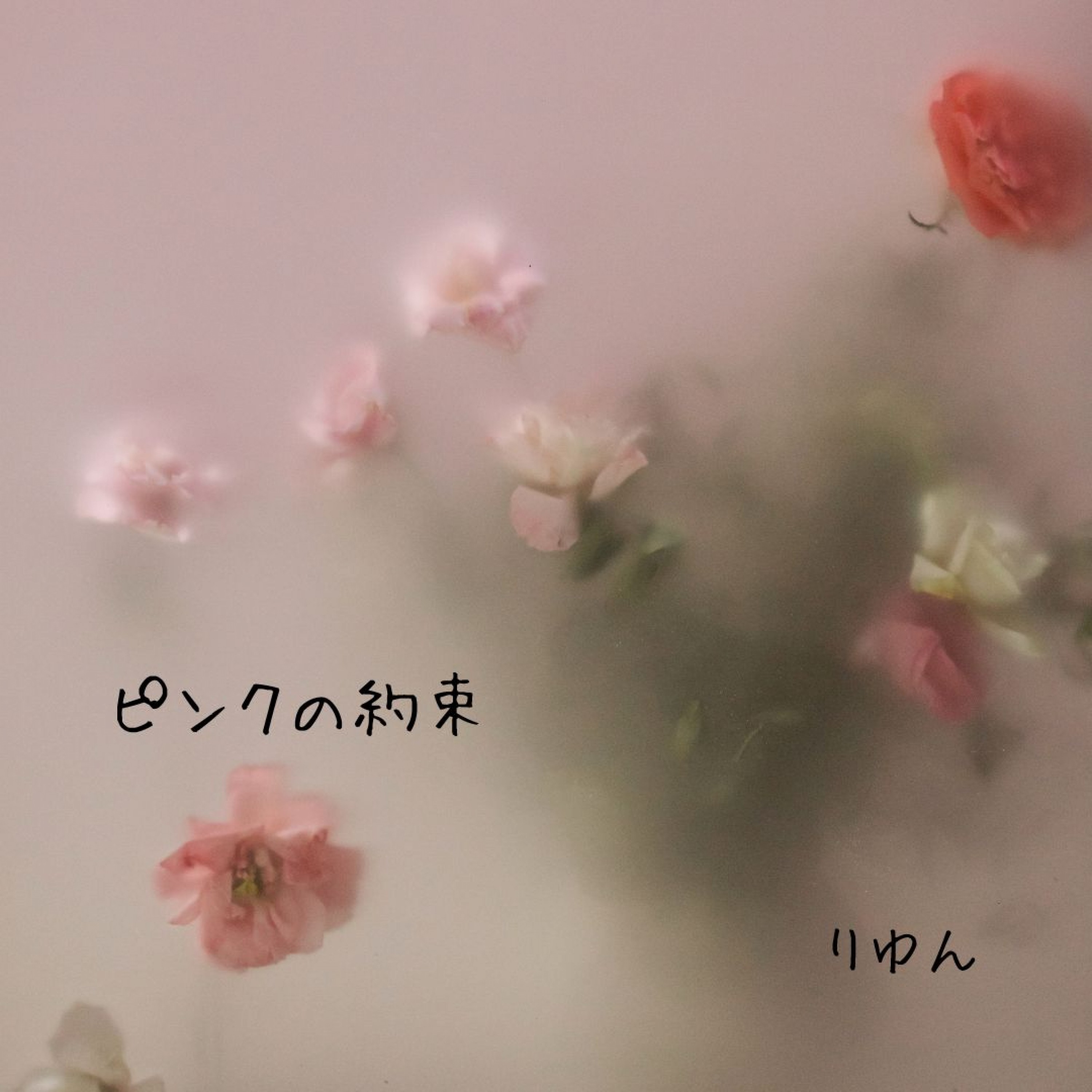 ジャケット写真
