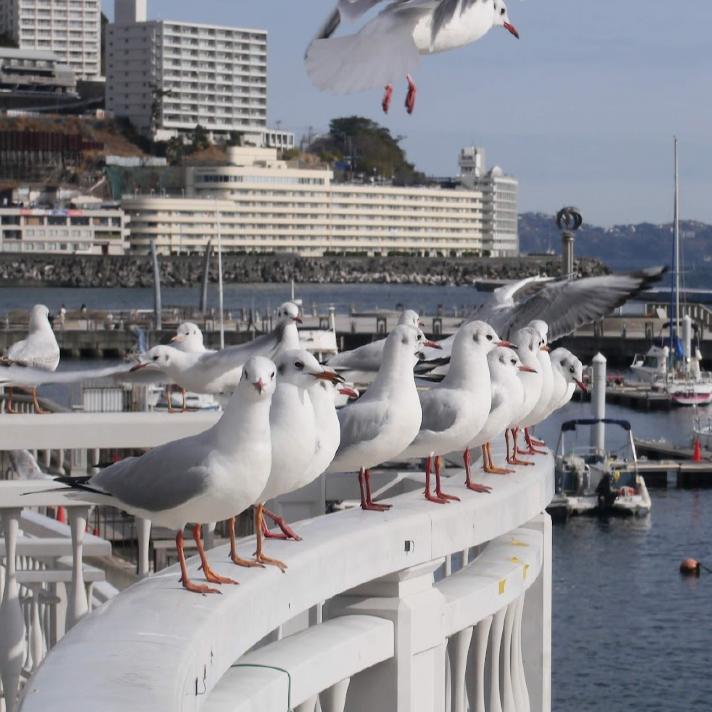 ジャケット写真