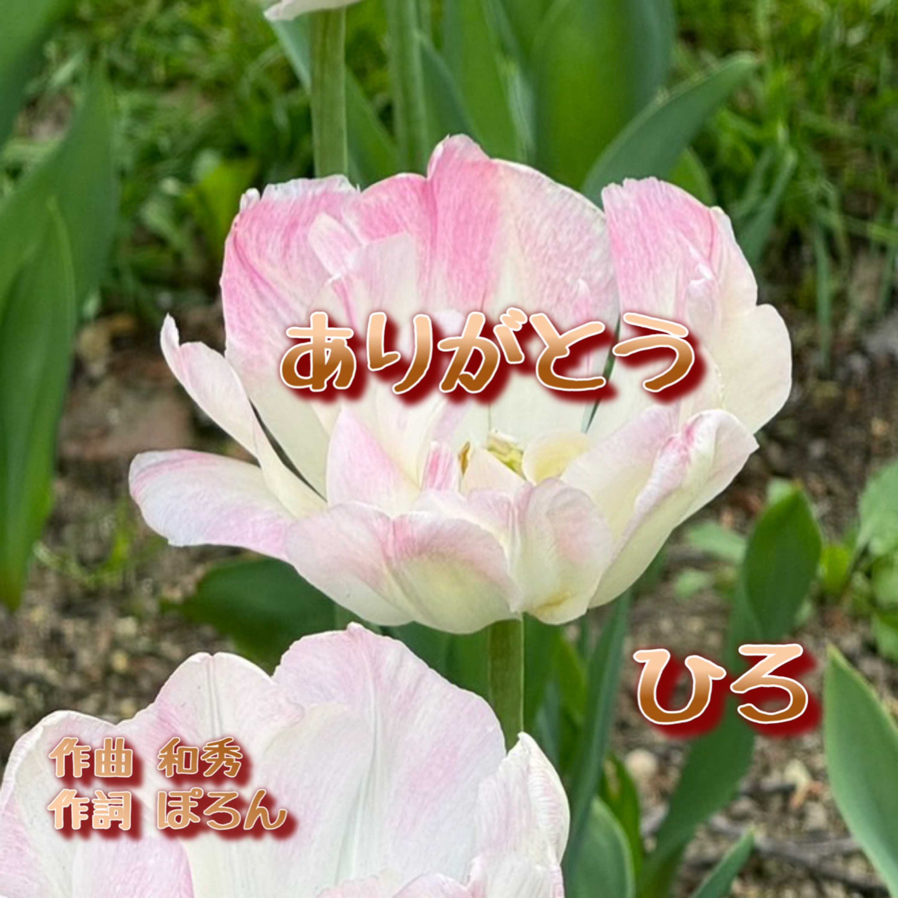 ジャケット写真