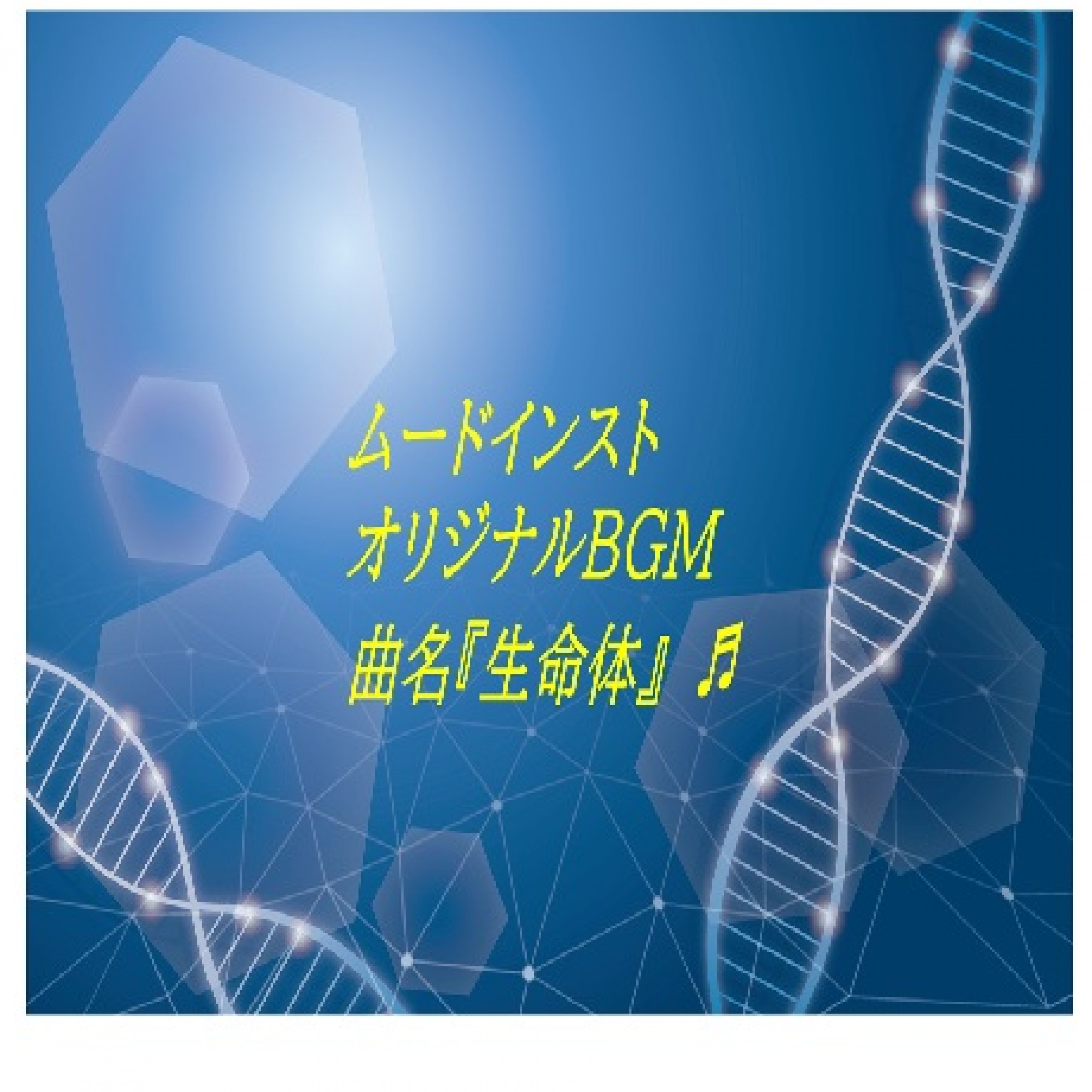 ジャケット写真