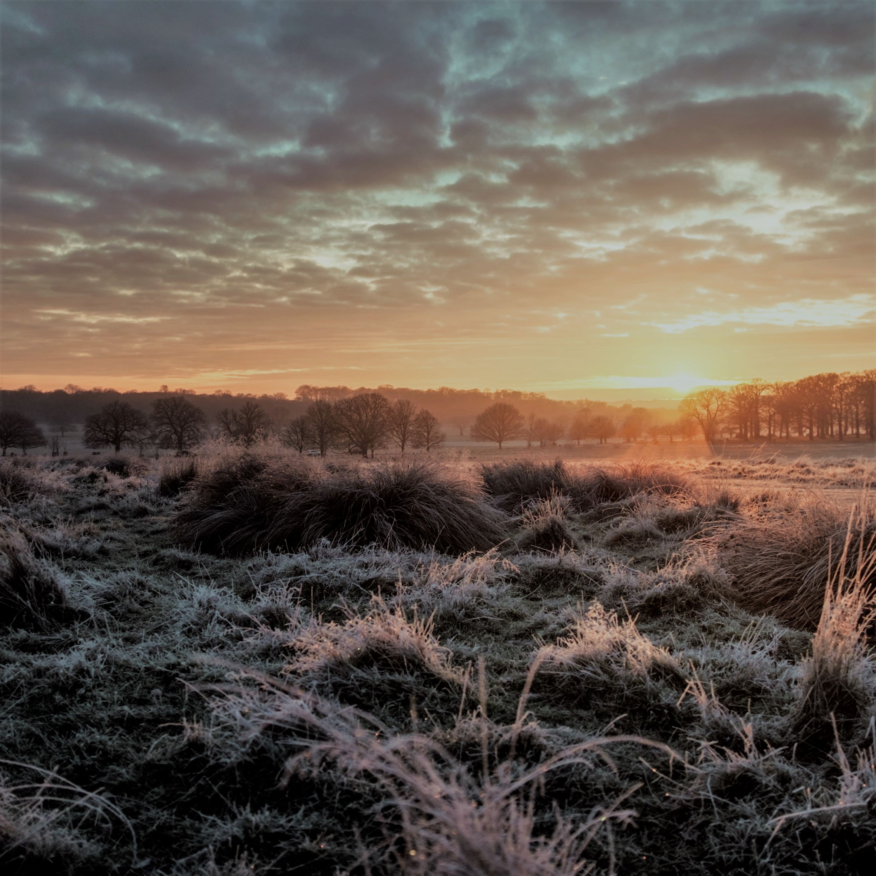 ジャケット写真