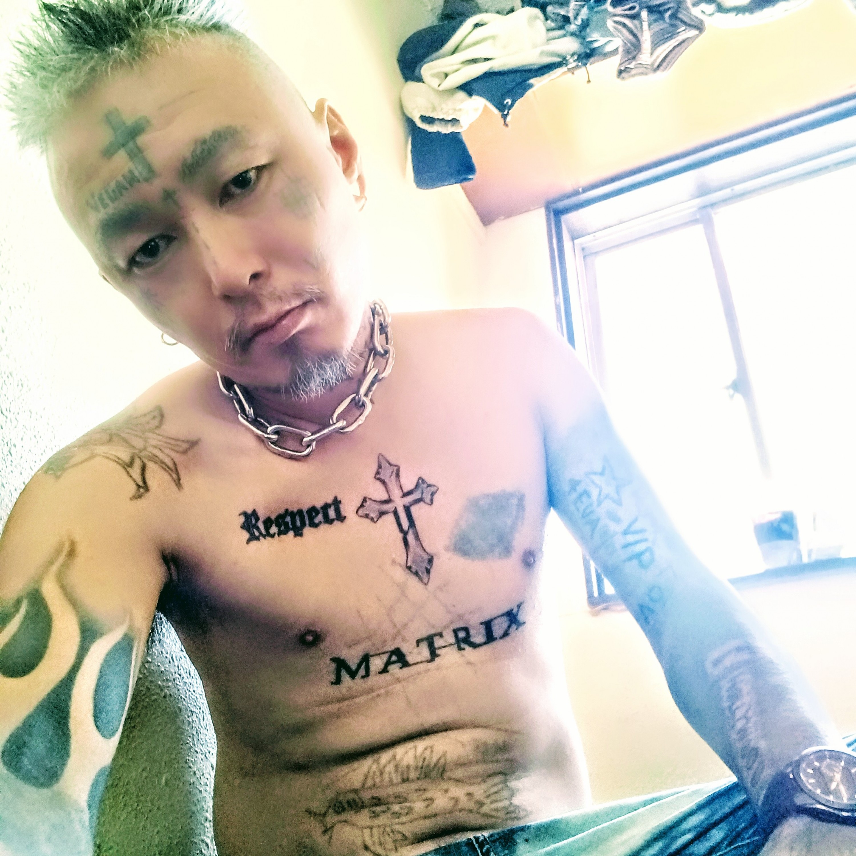 ジャケット写真