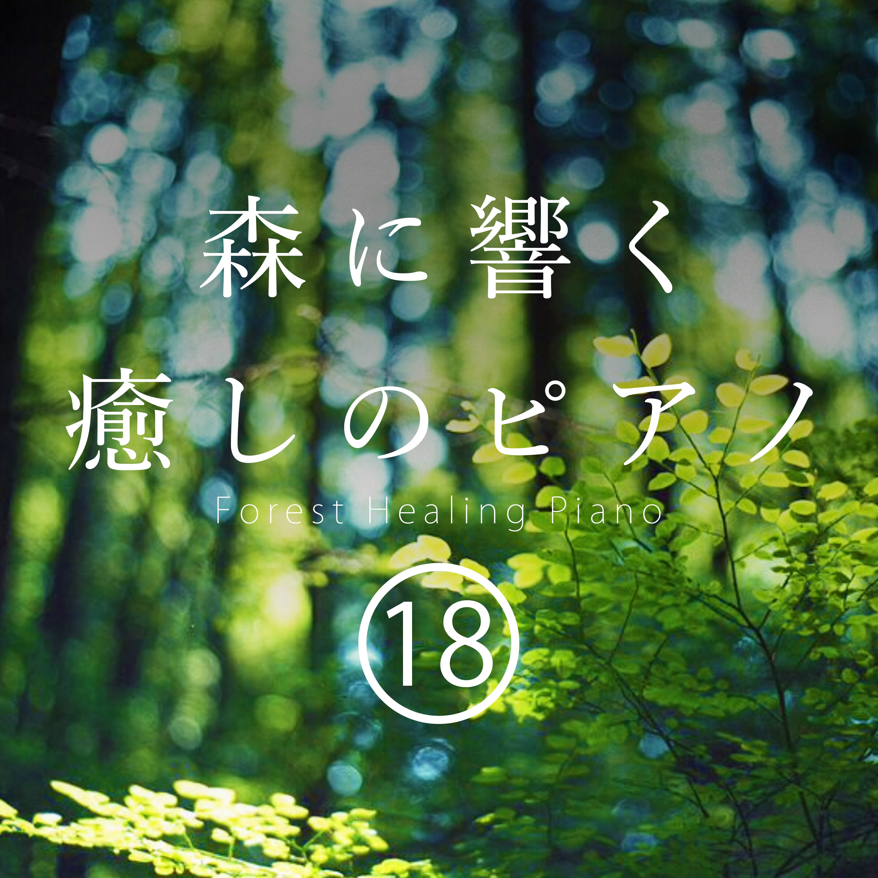 ジャケット写真