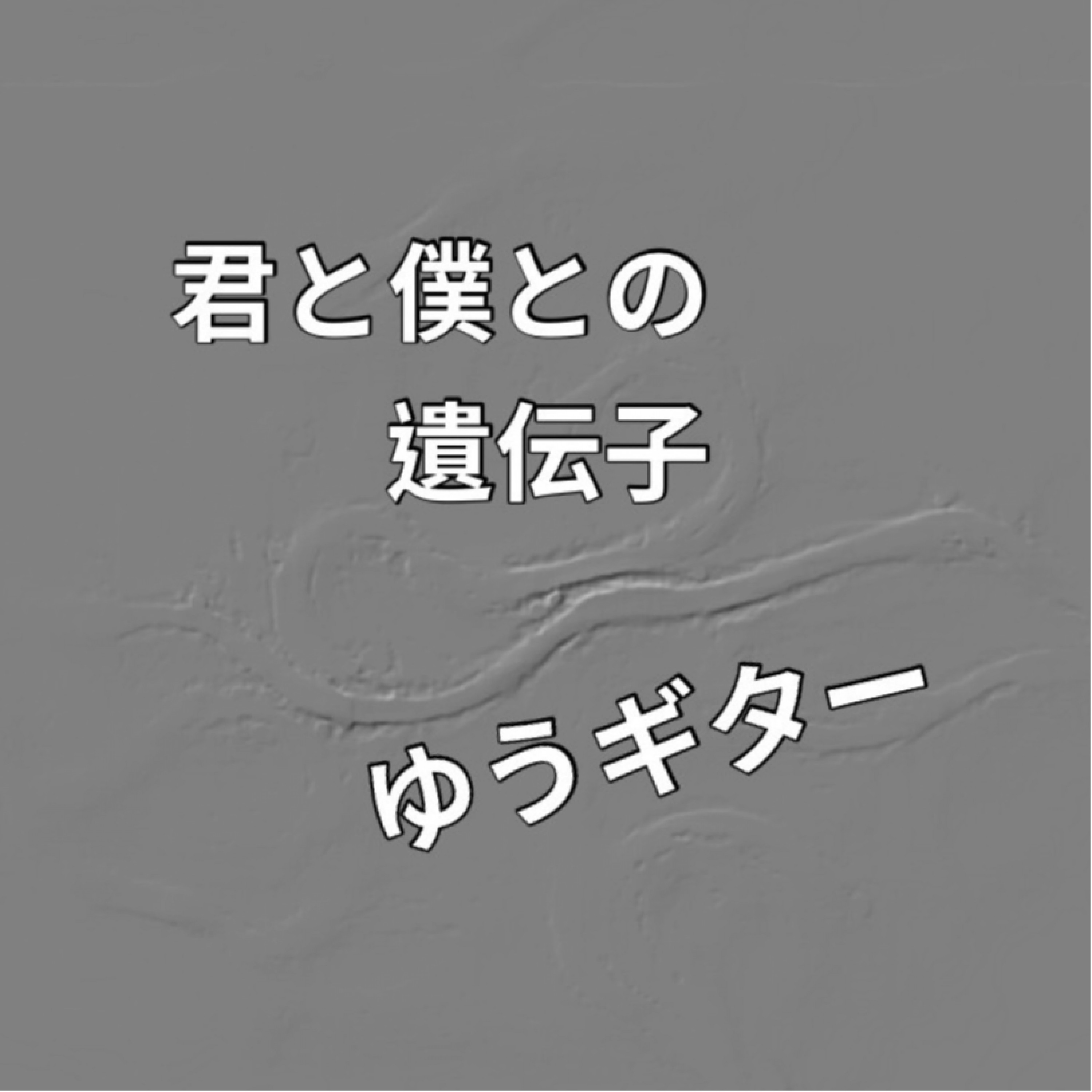 ジャケット写真