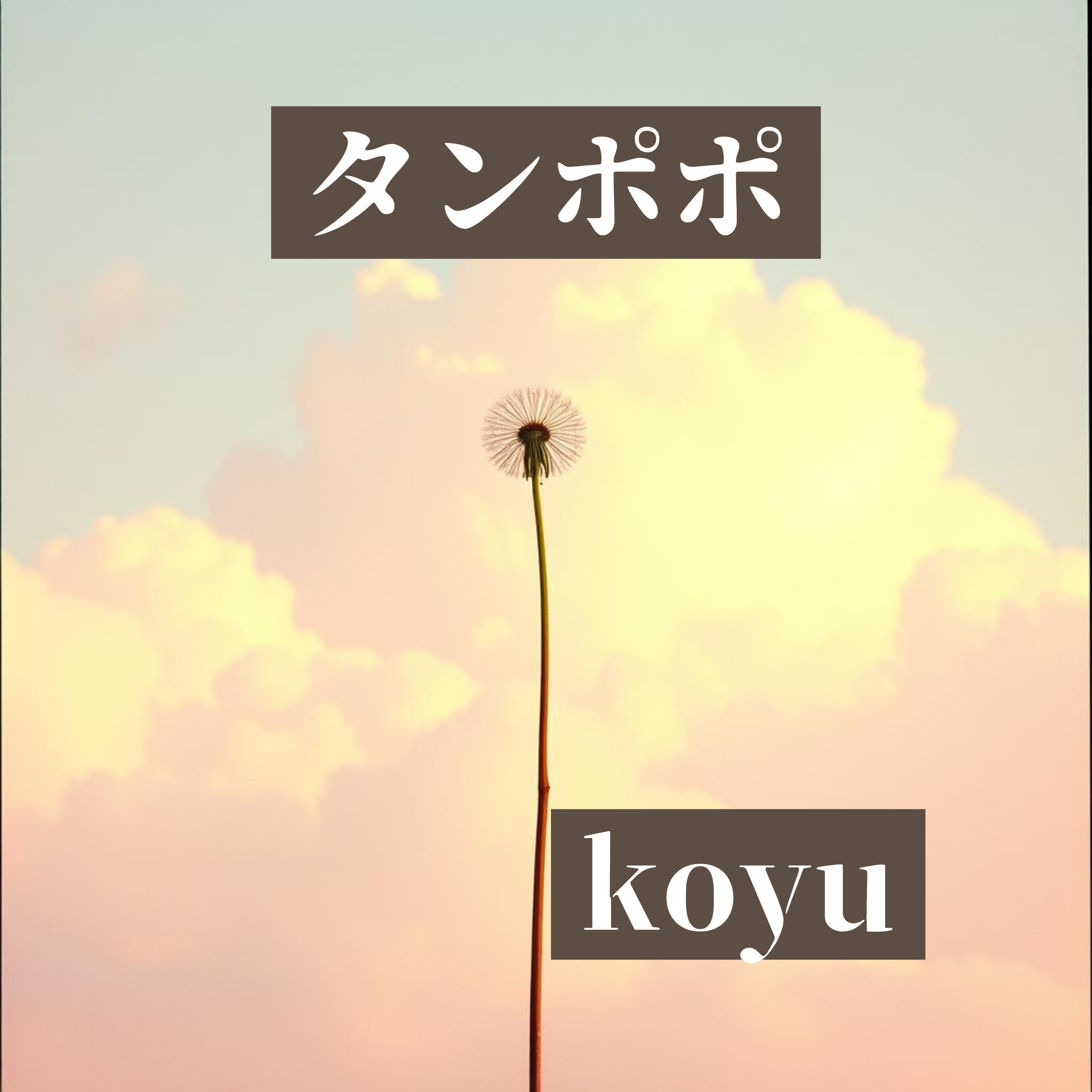 ジャケット写真