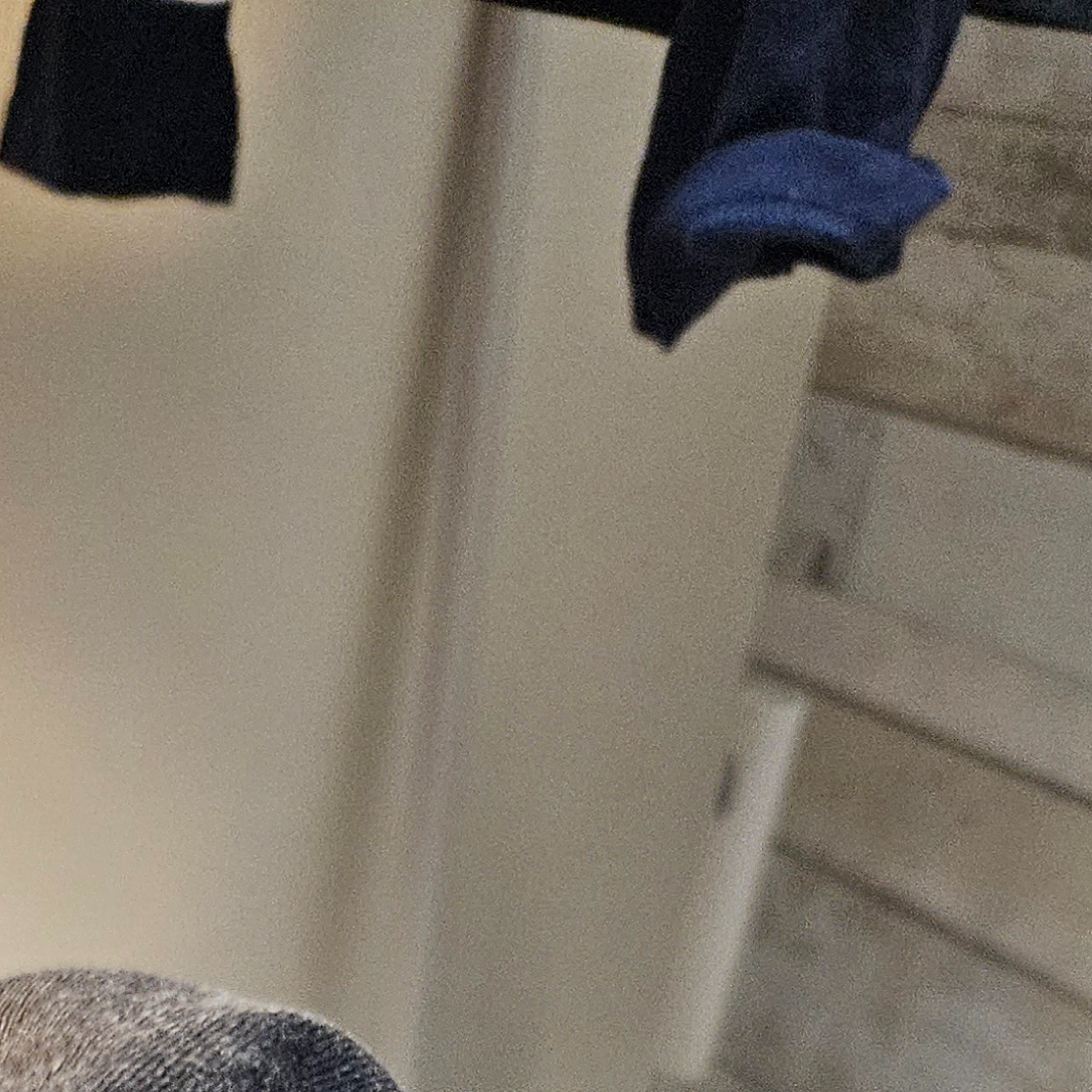 ジャケット写真