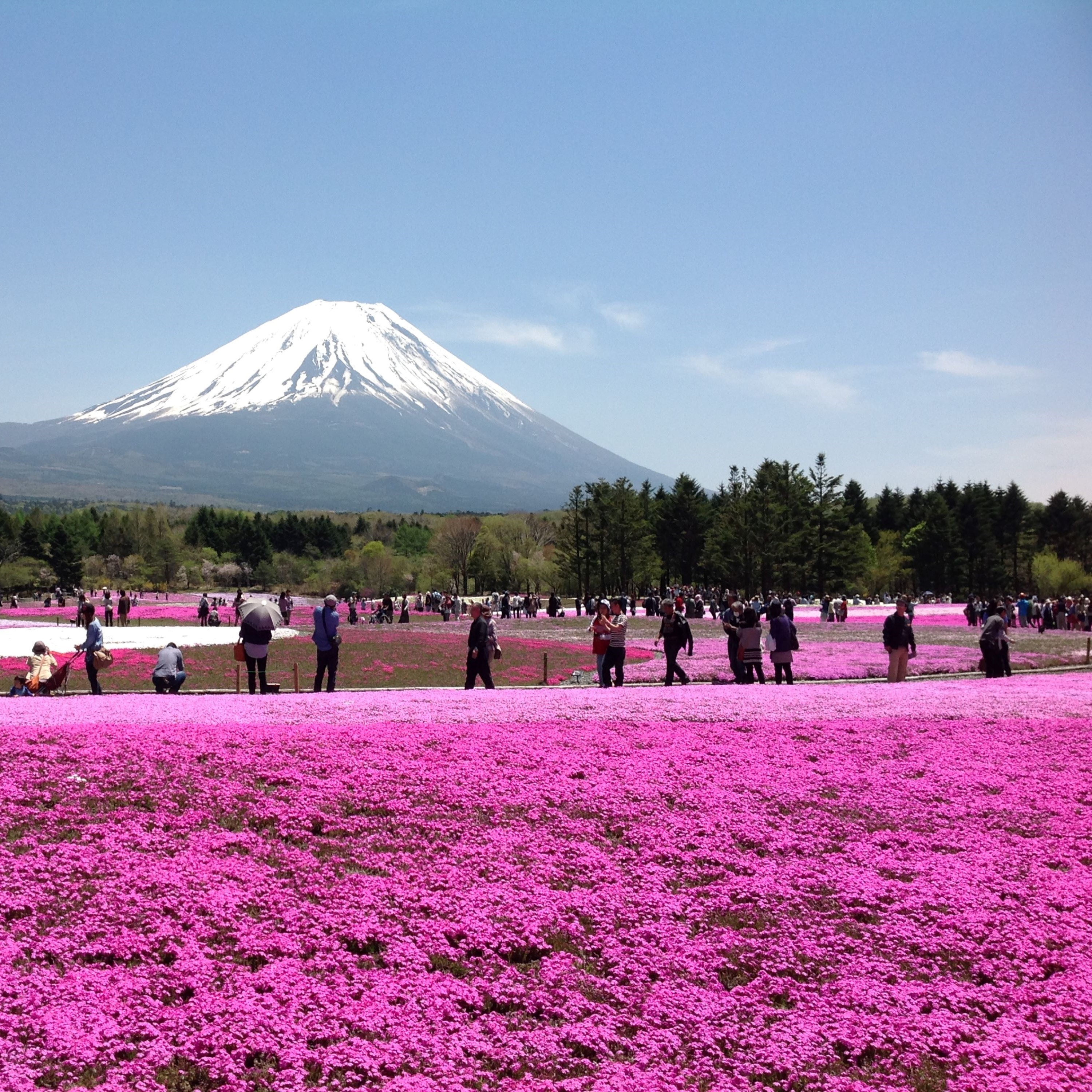 ジャケット写真