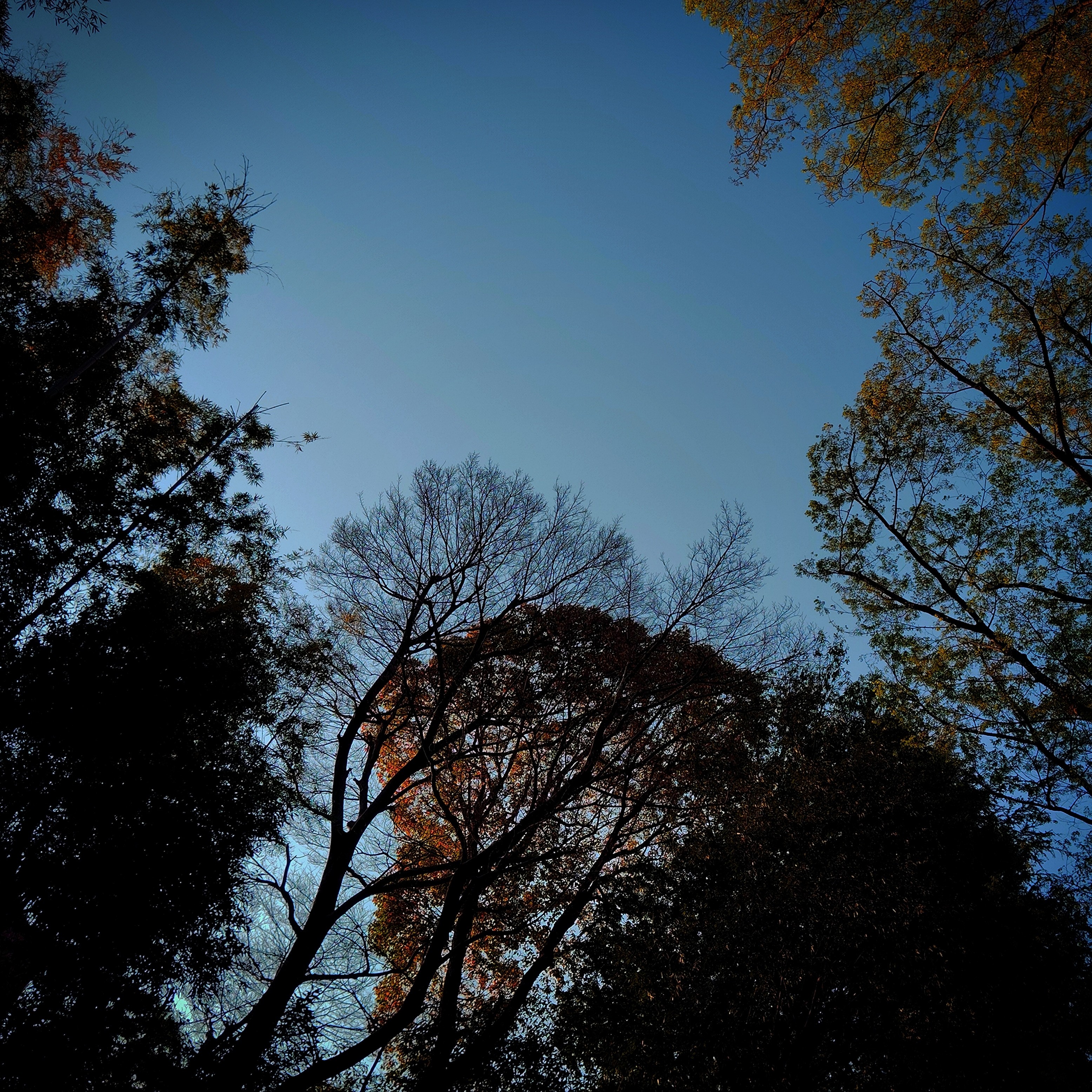 ジャケット写真