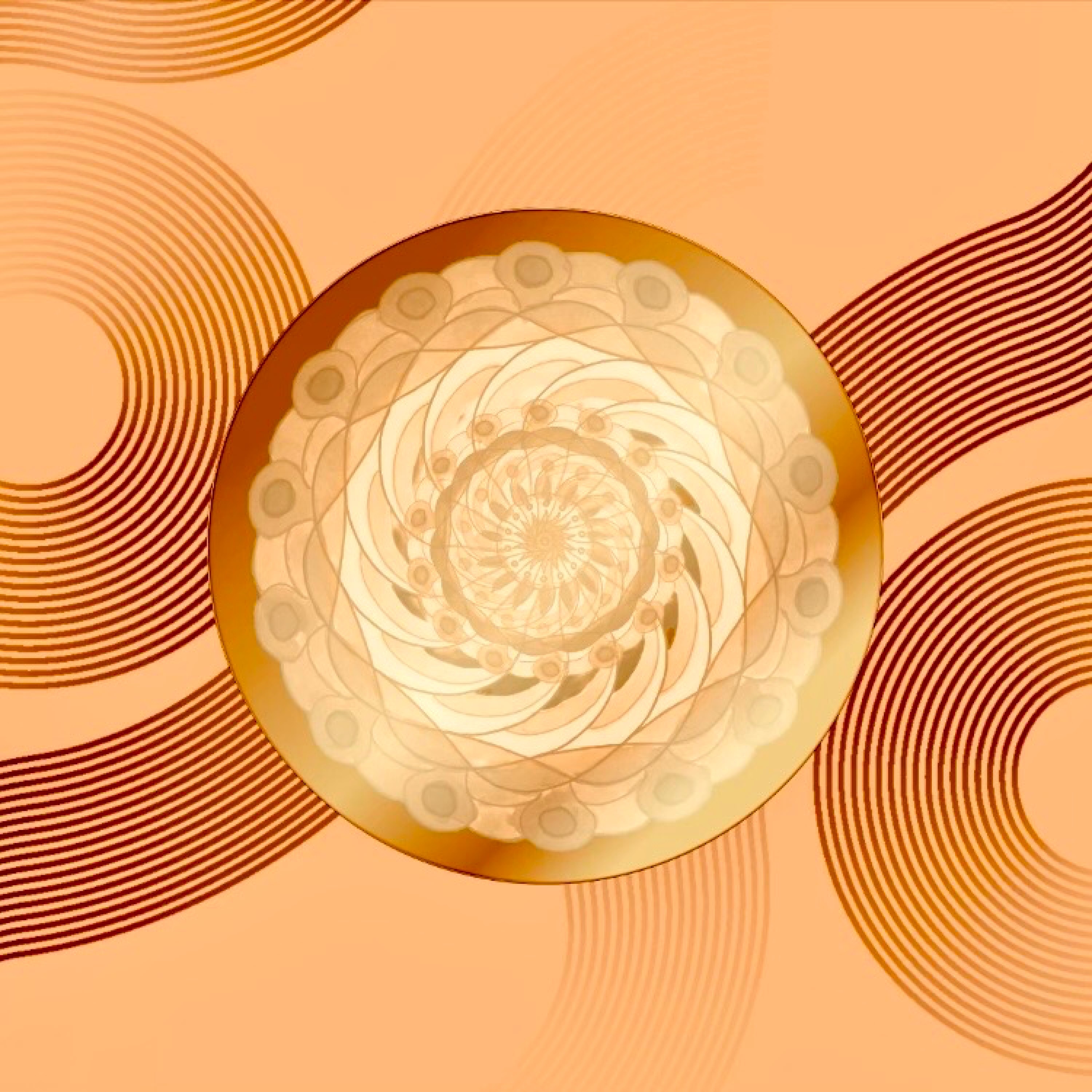 ジャケット写真