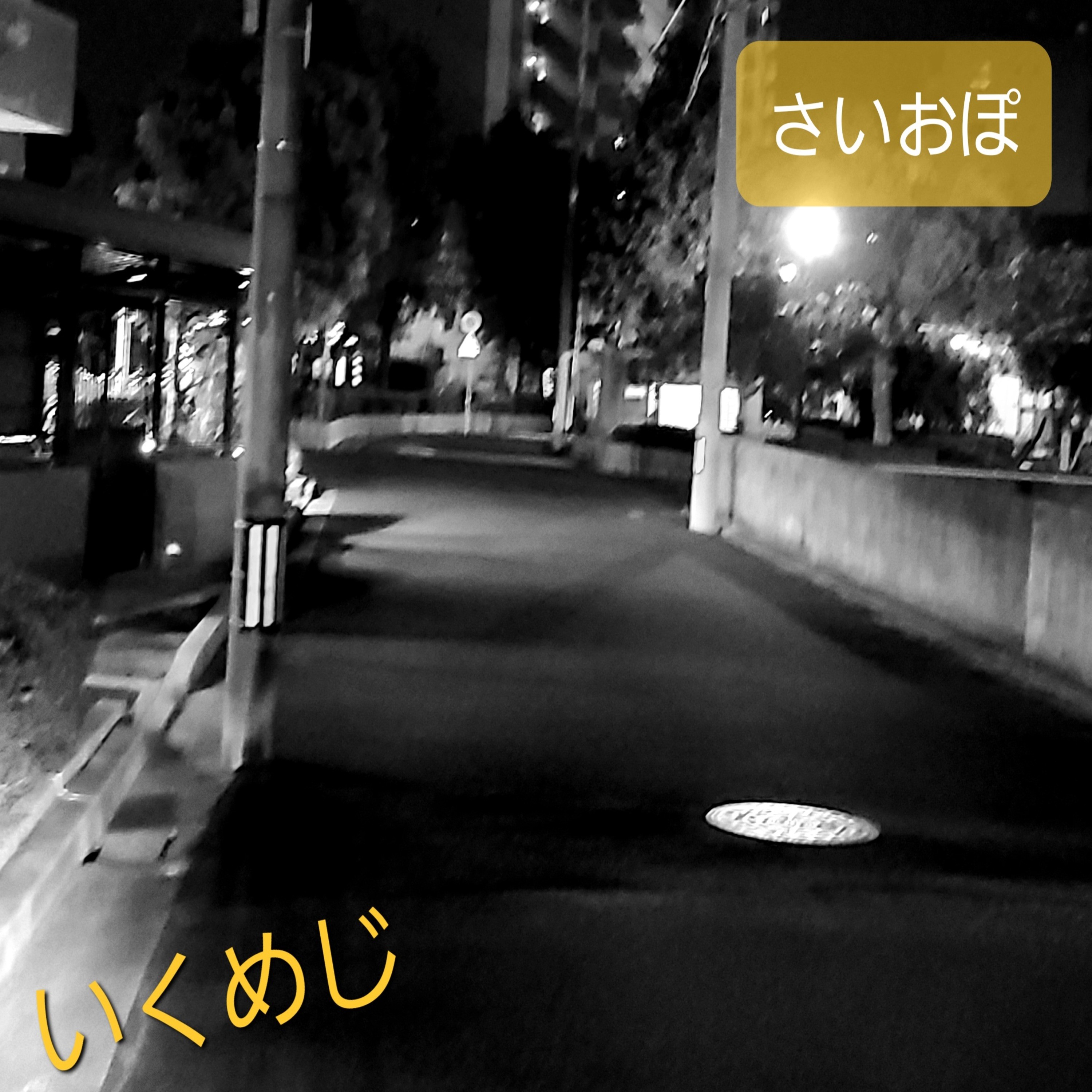 ジャケット写真