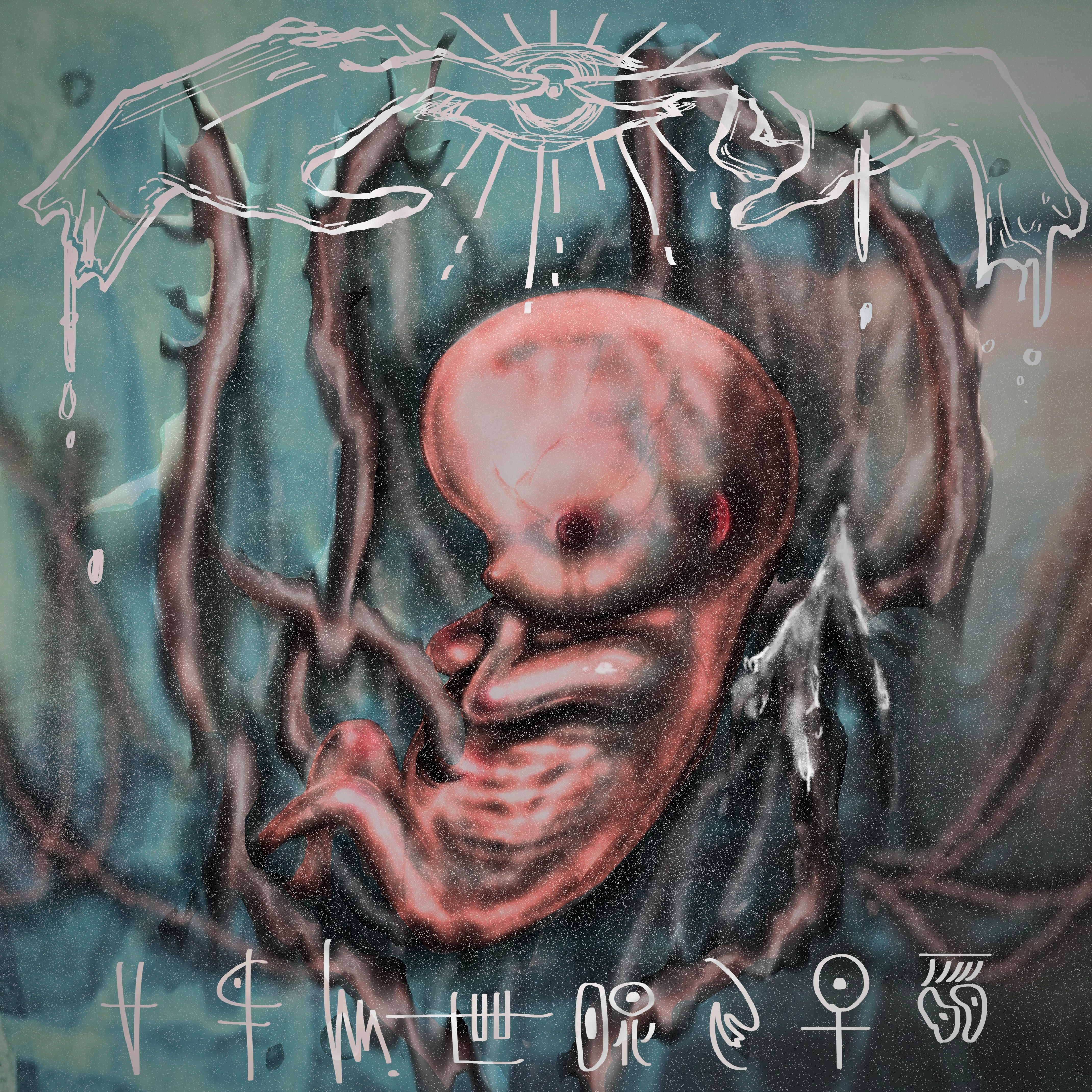 ジャケット写真