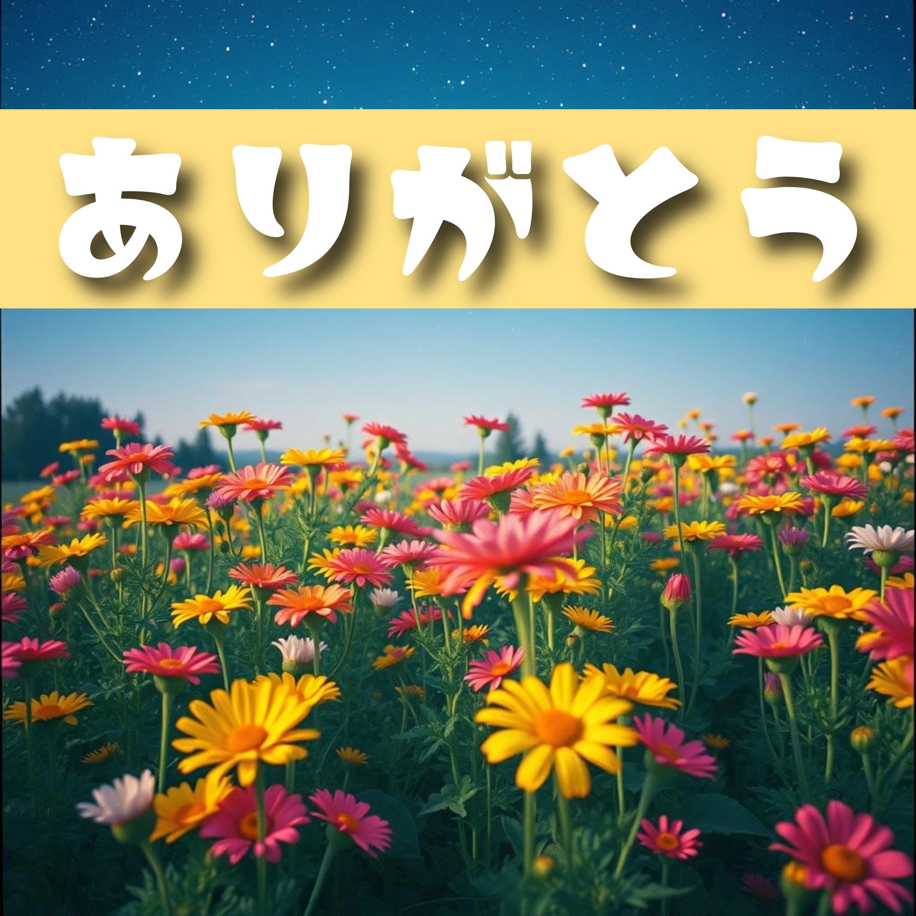 ジャケット写真