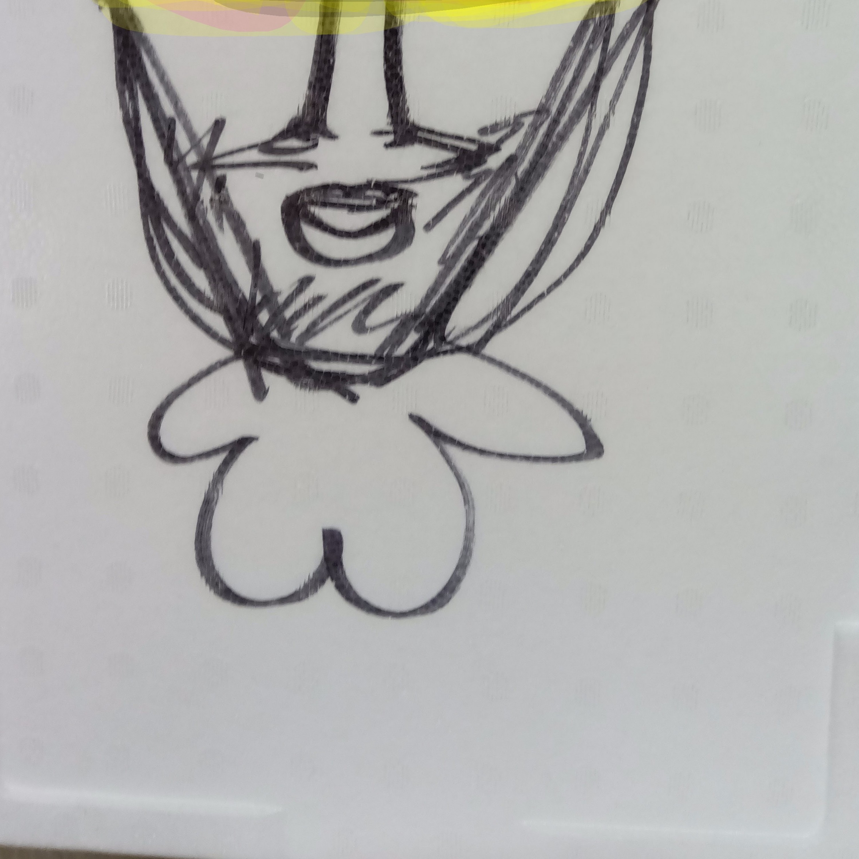 ジャケット写真