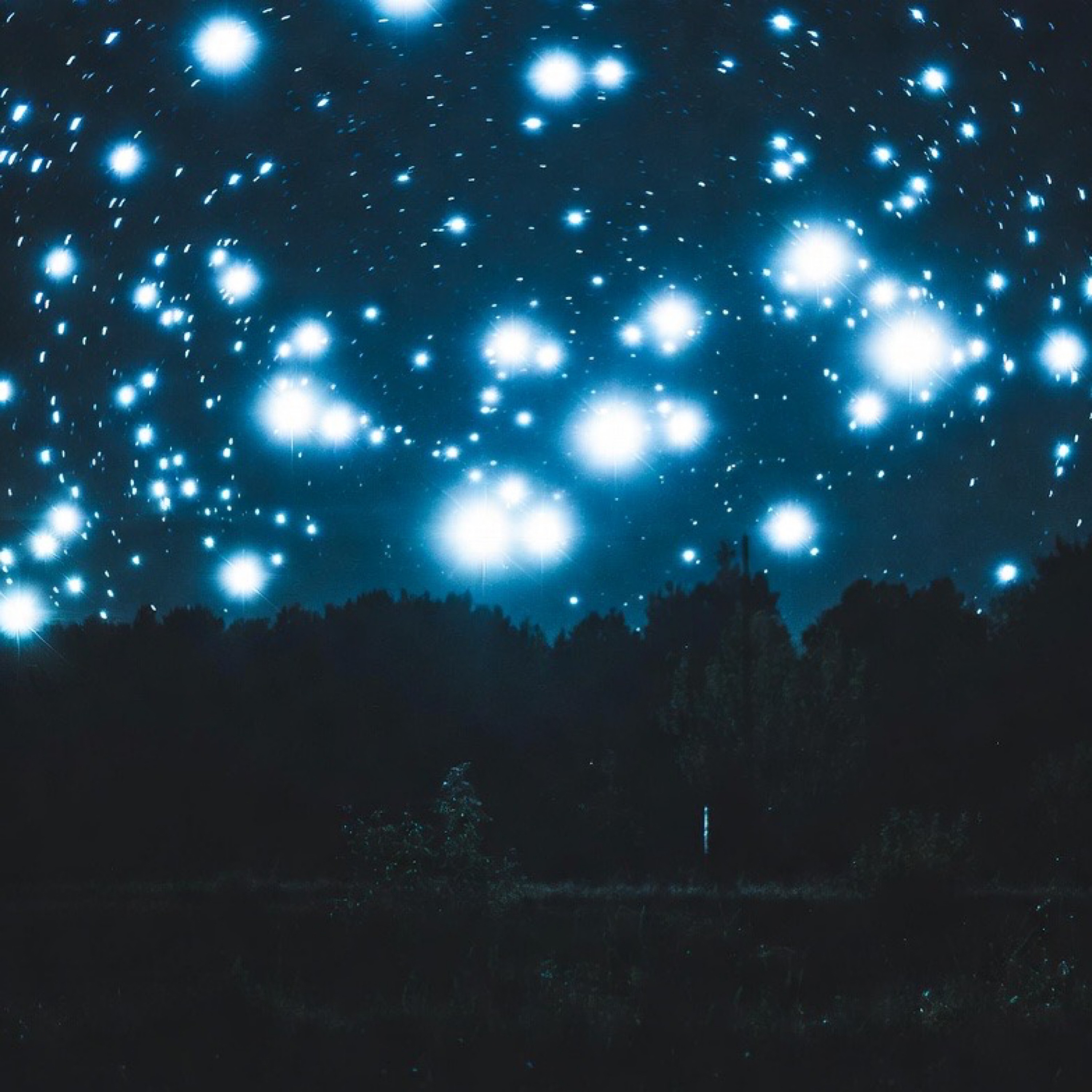 ジャケット写真