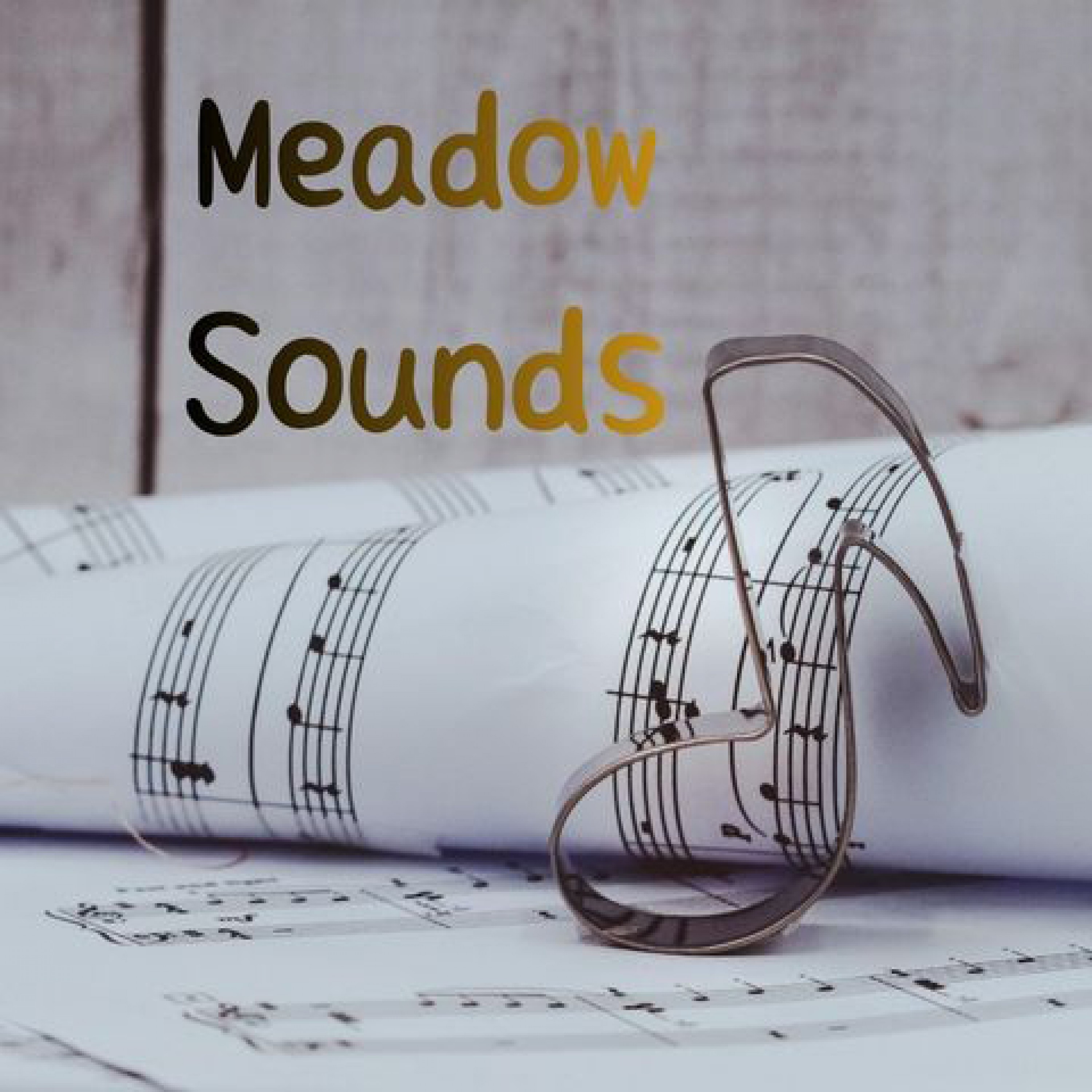 ジャケット写真